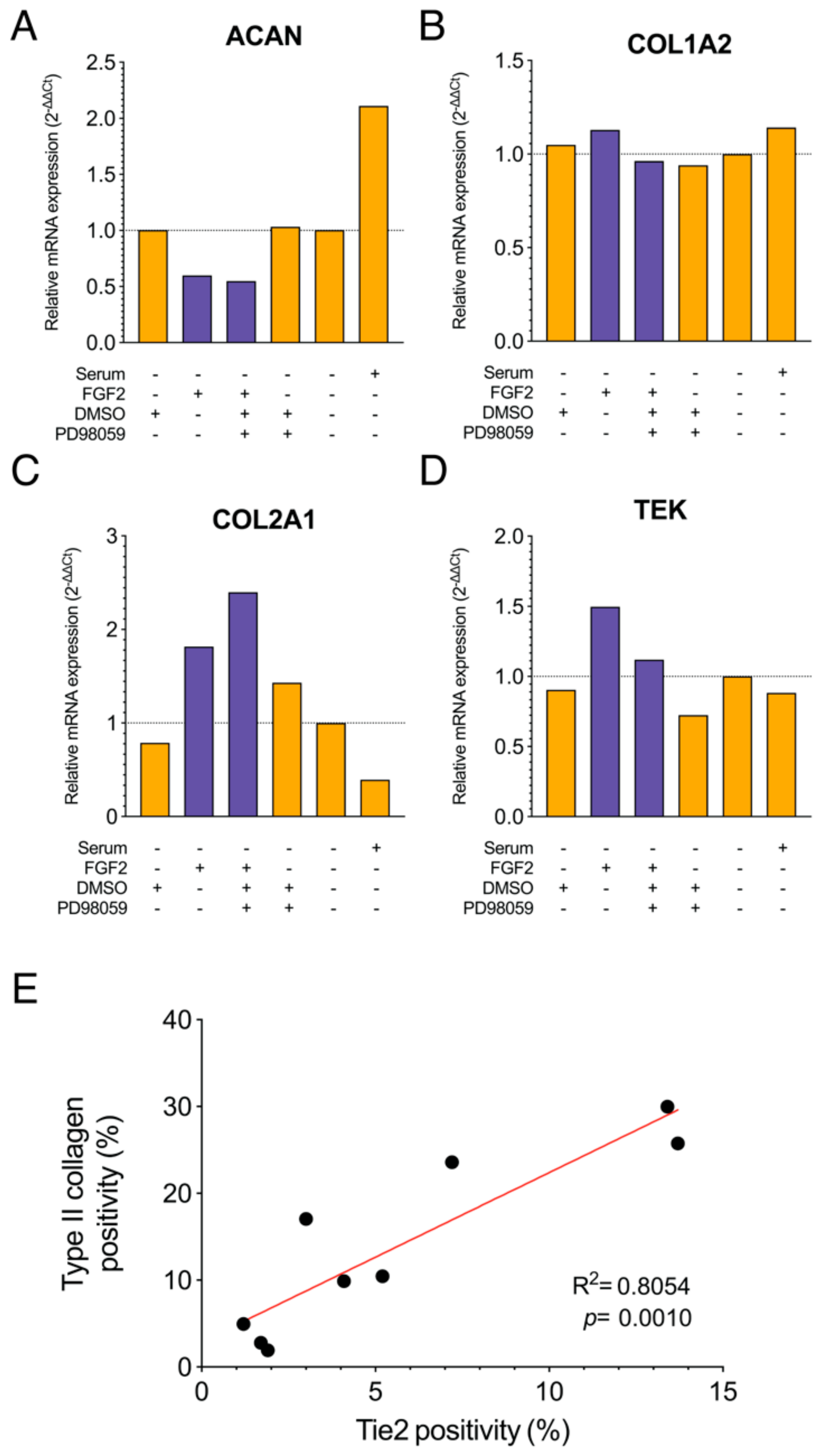 Ijms 22 04723 g004 Ijms 22 04723 g004