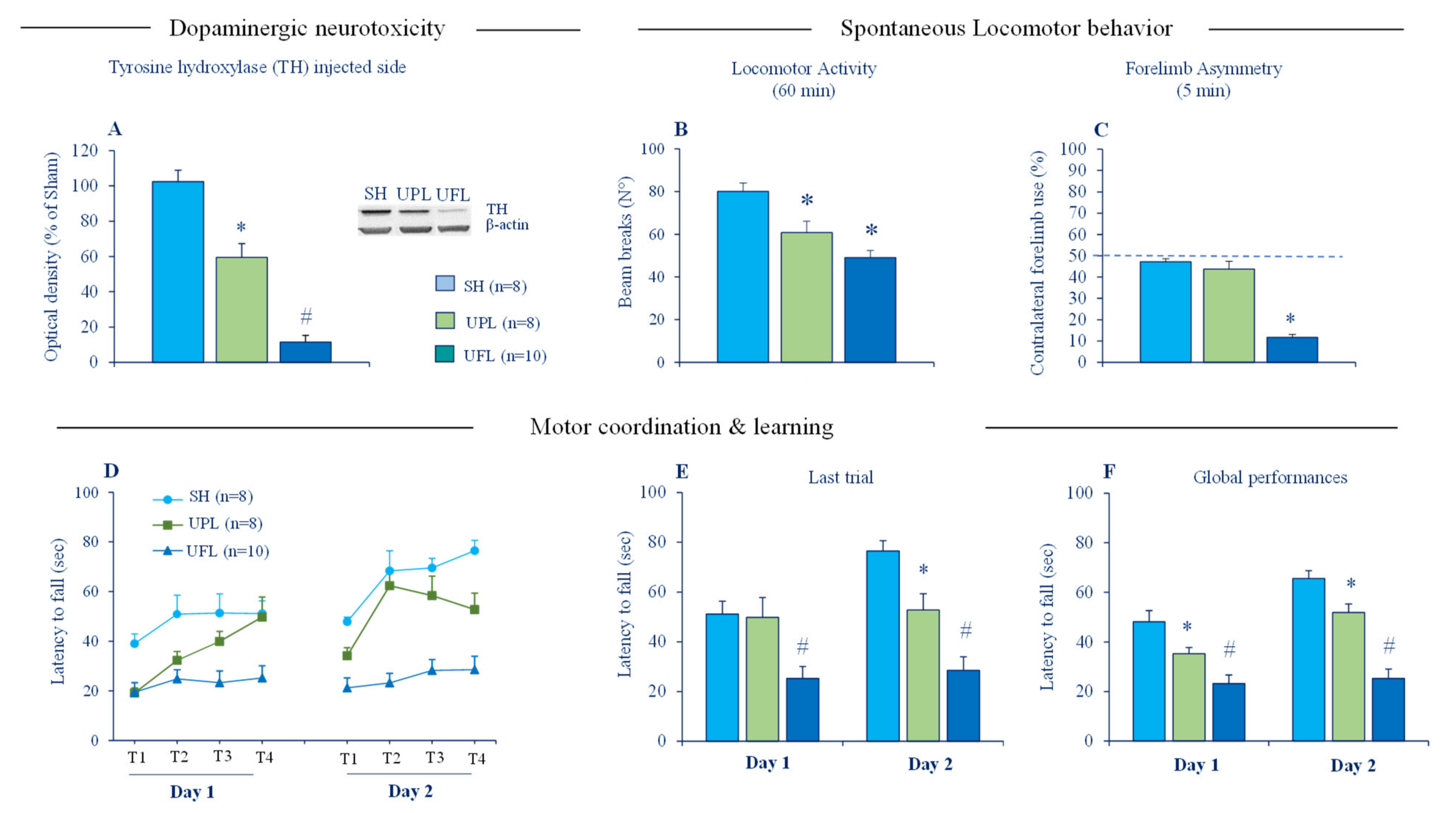 Ijms 22 04724 g002 Ijms 22 04724 g002