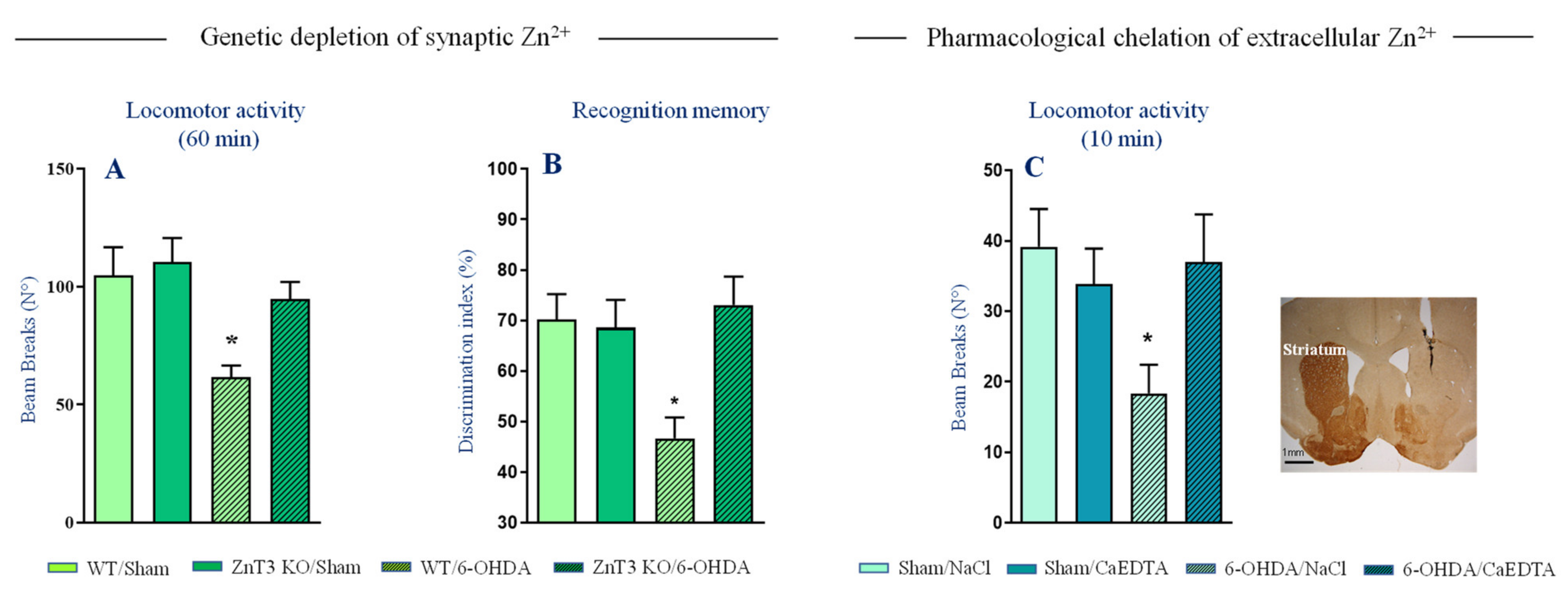 Ijms 22 04724 g003 Ijms 22 04724 g003