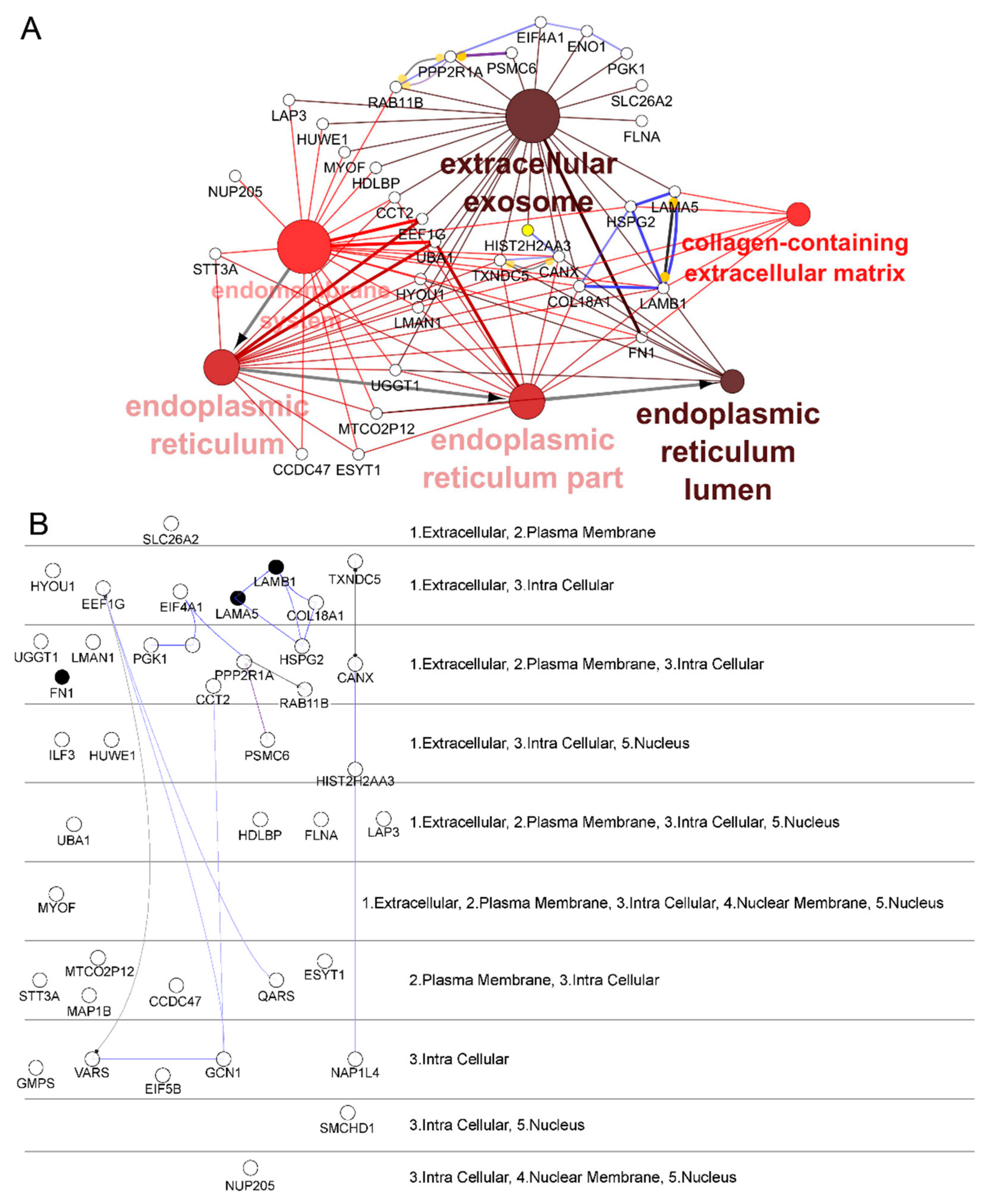 Ijms 22 04725 g002 Ijms 22 04725 g002