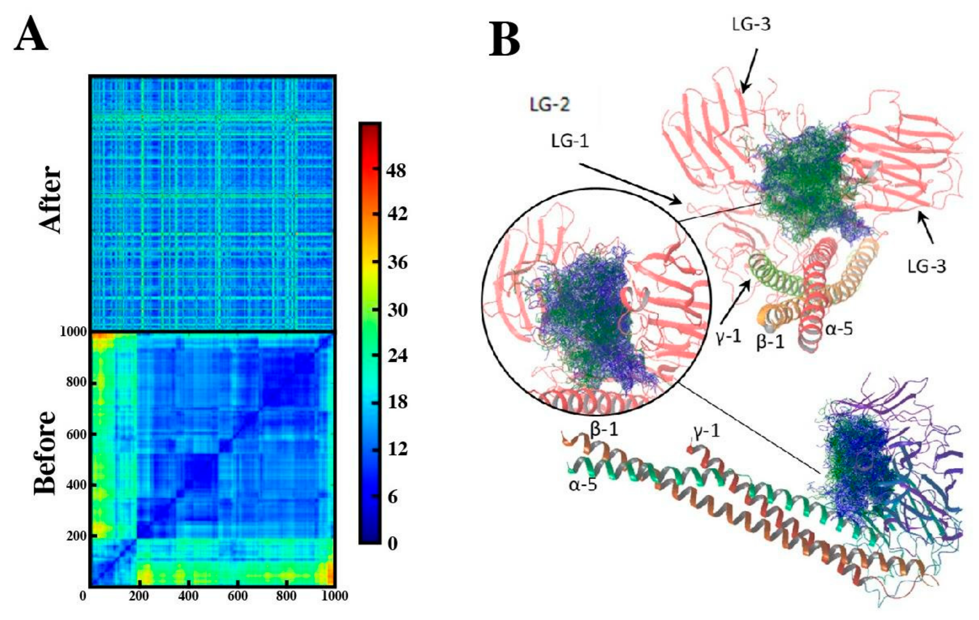 Ijms 22 04725 g004 Ijms 22 04725 g004