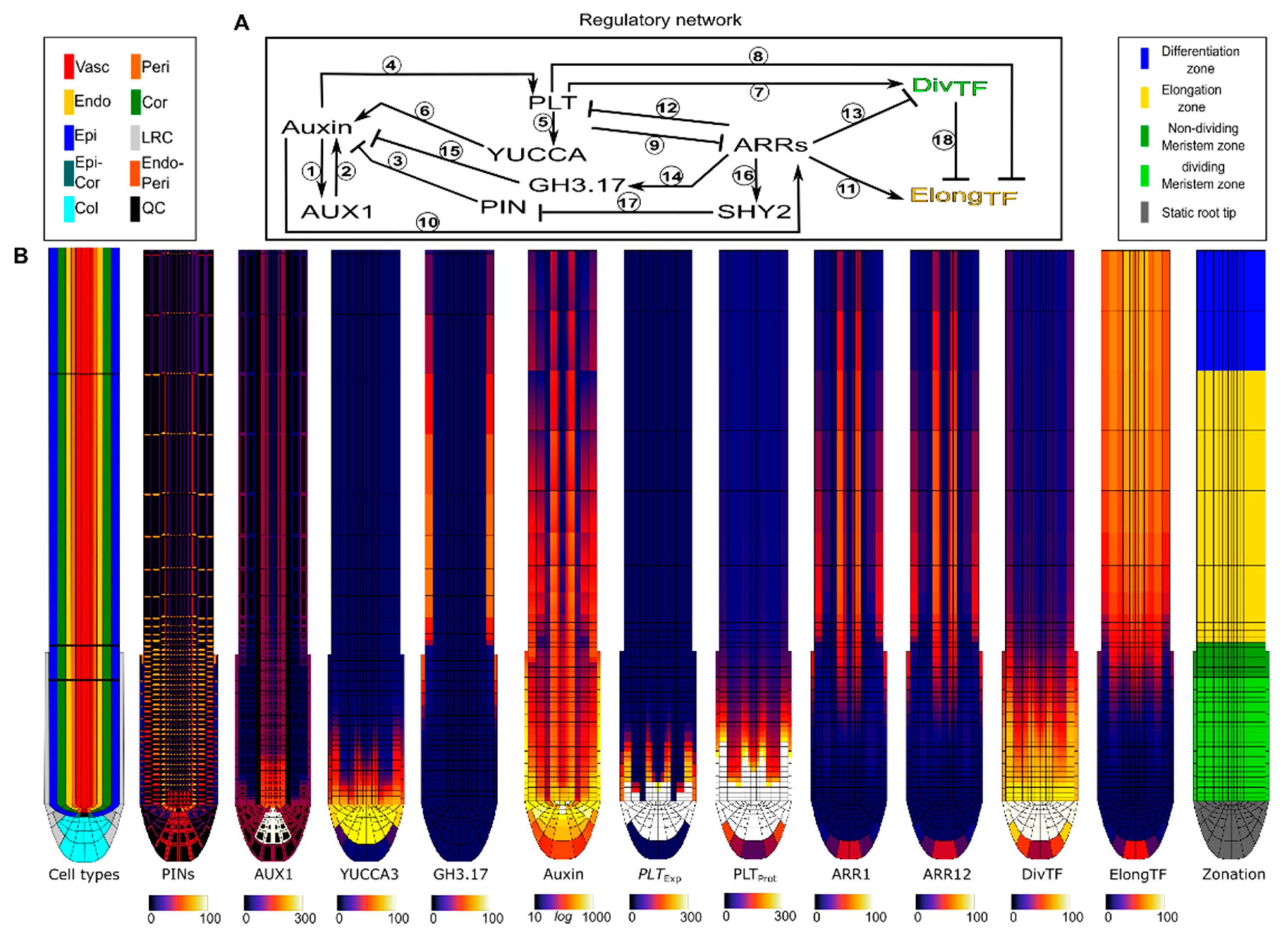 Ijms 22 04731 g001 Ijms 22 04731 g001