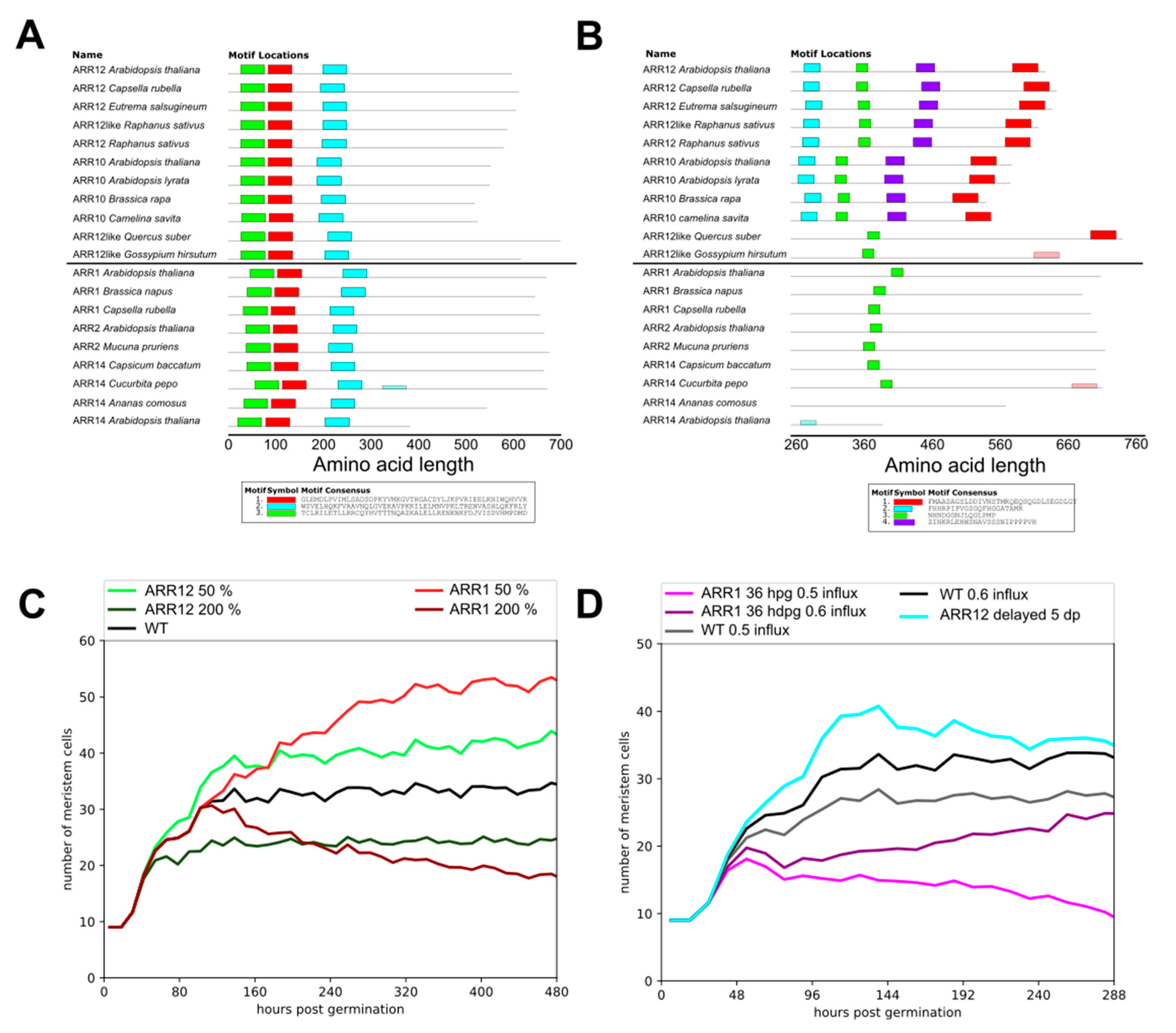 Ijms 22 04731 g005 Ijms 22 04731 g005