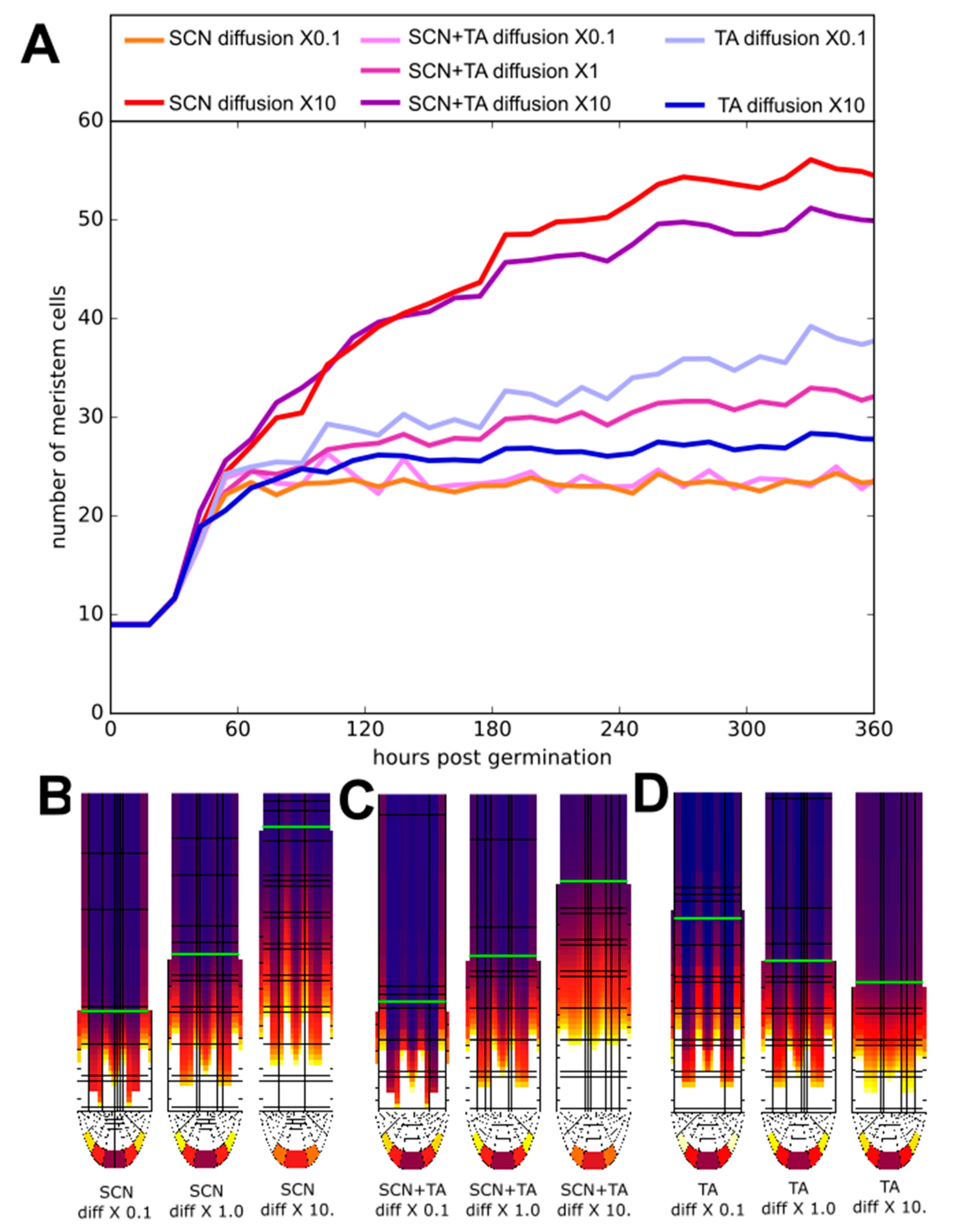 Ijms 22 04731 g006 Ijms 22 04731 g006