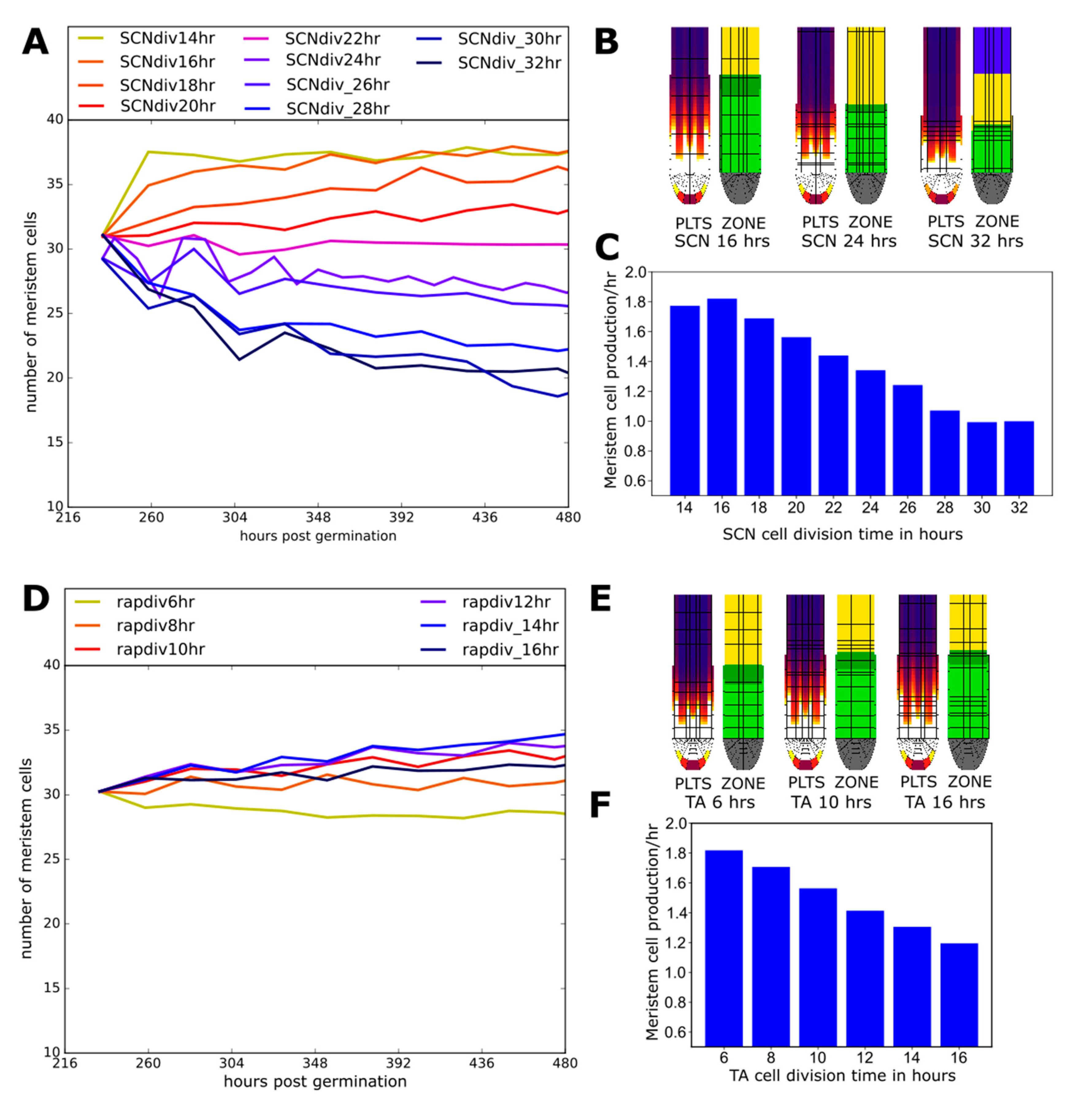 Ijms 22 04731 g007 Ijms 22 04731 g007