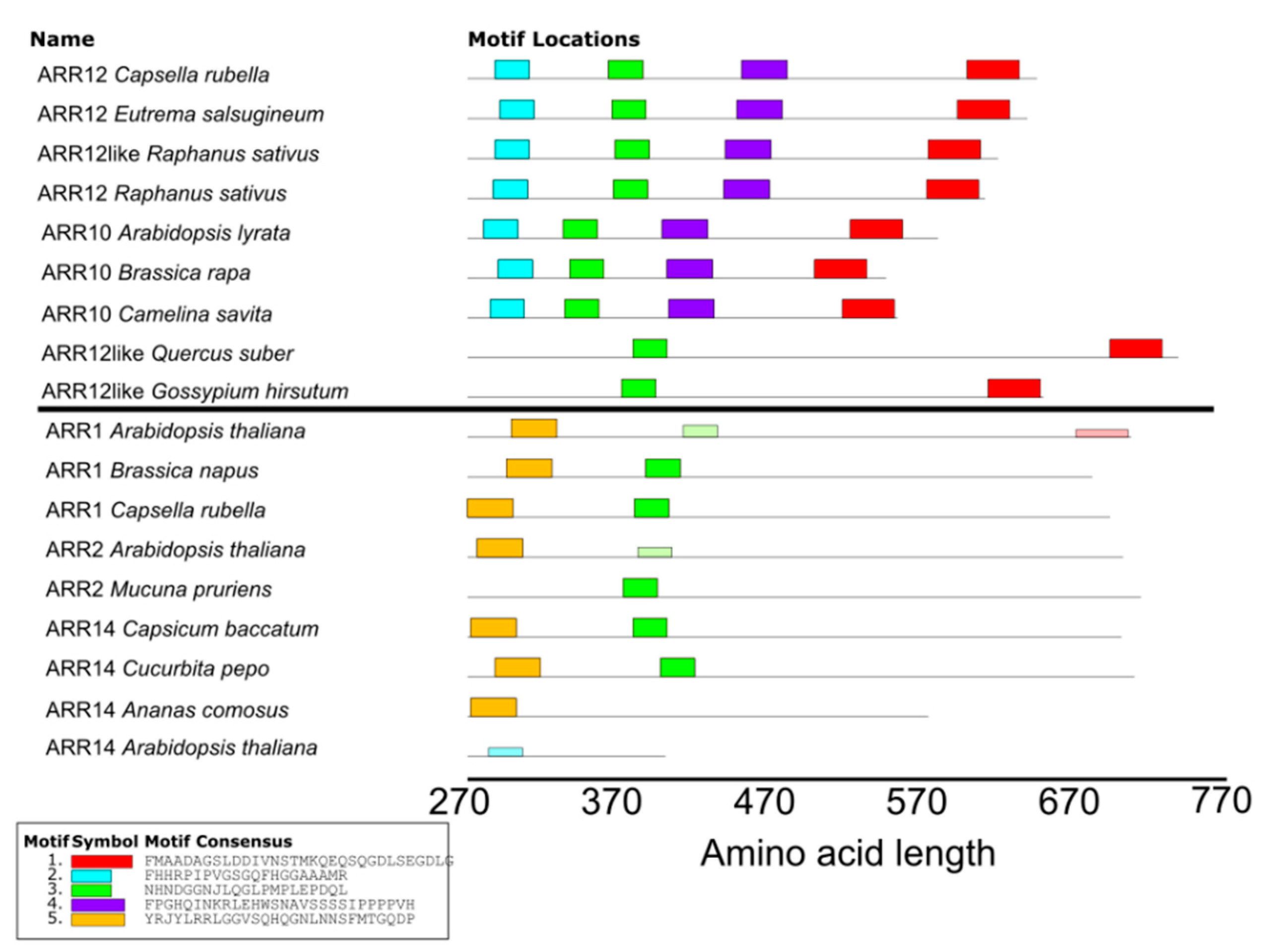 Ijms 22 04731 g0a3 Ijms 22 04731 g0a3
