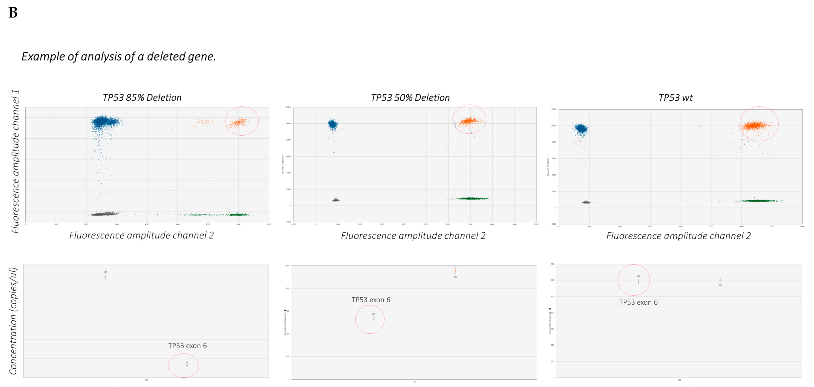 Ijms 22 04732 g003b Ijms 22 04732 g003b