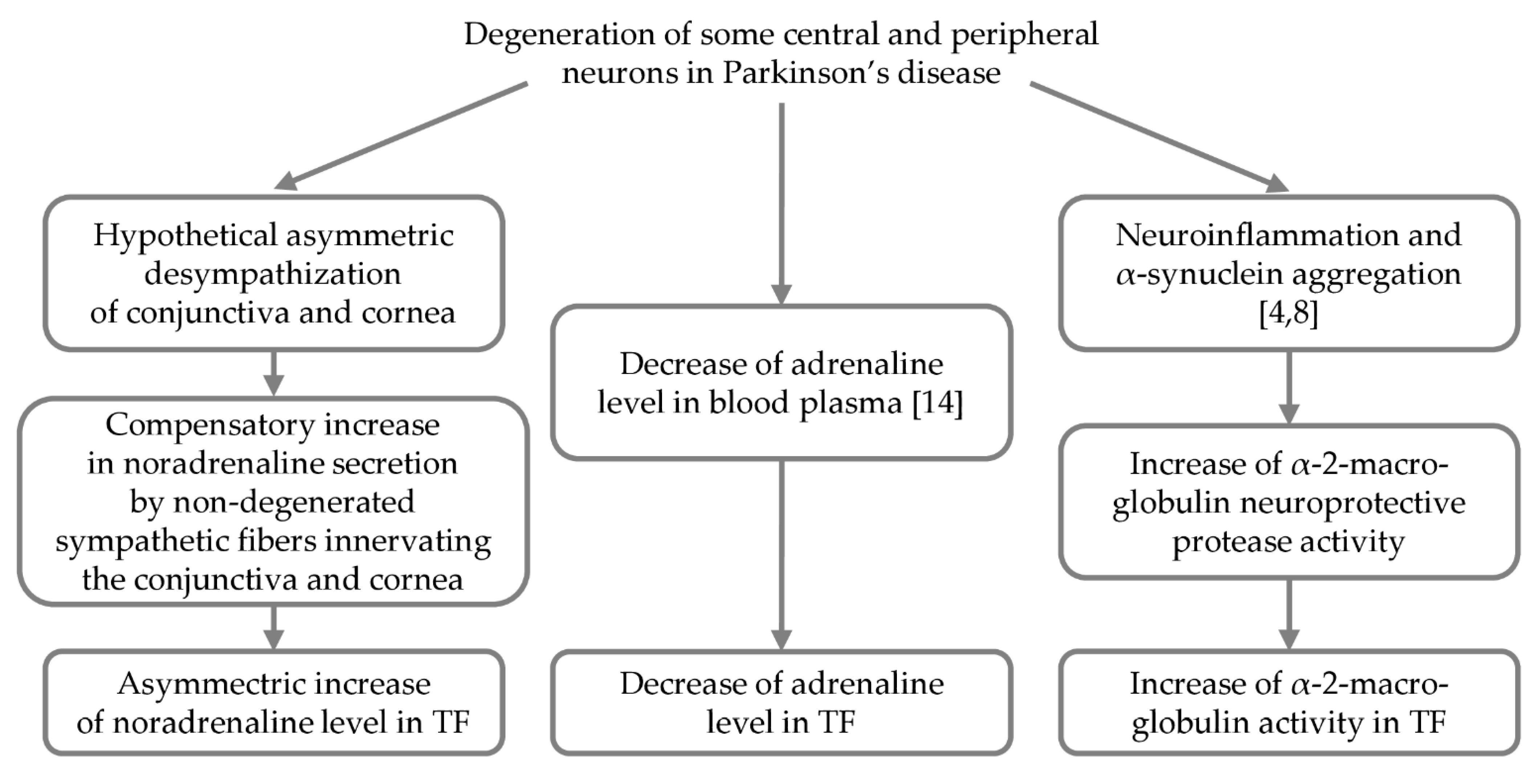 Ijms 22 04736 g006 Ijms 22 04736 g006