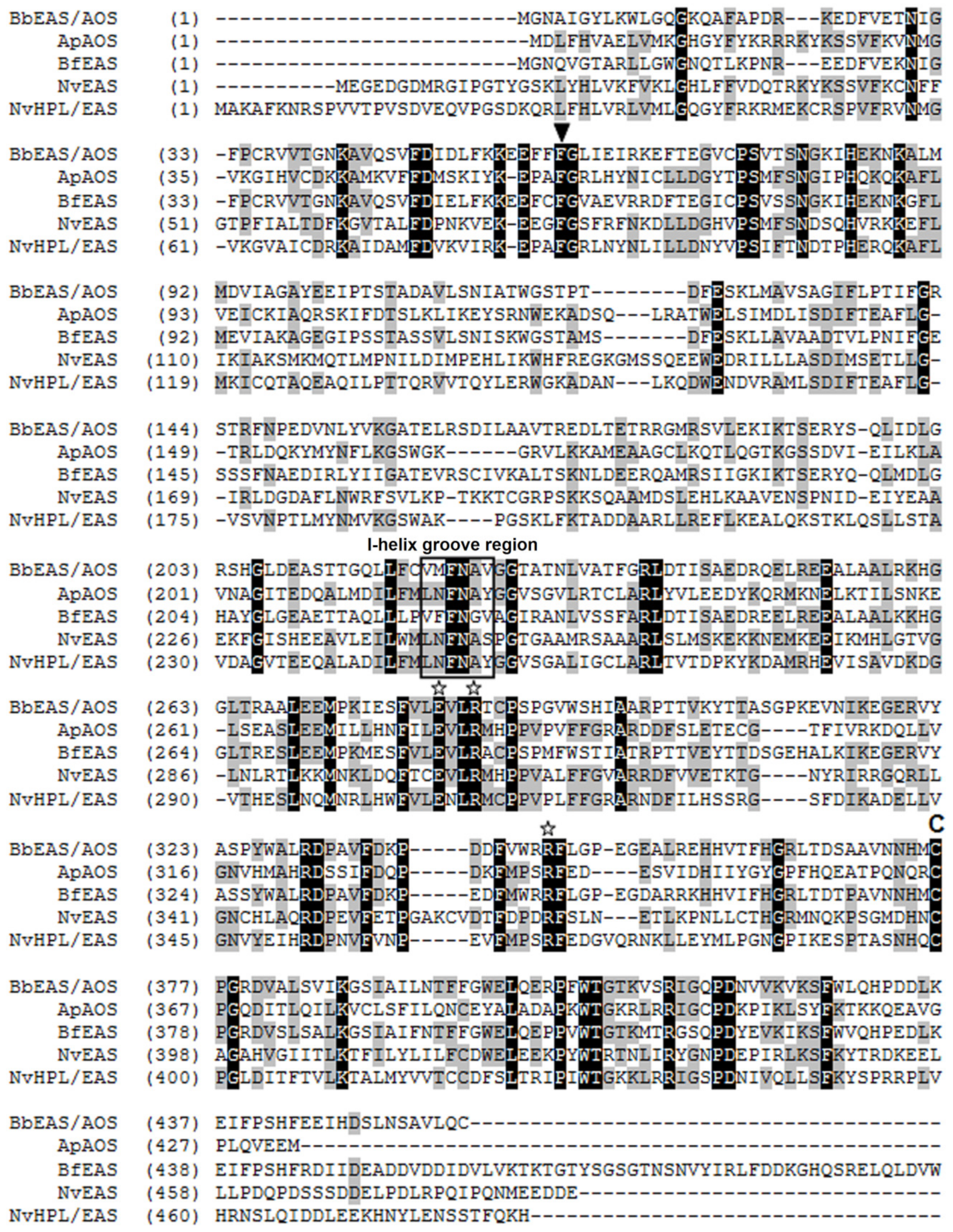 Ijms 22 04737 g001 Ijms 22 04737 g001