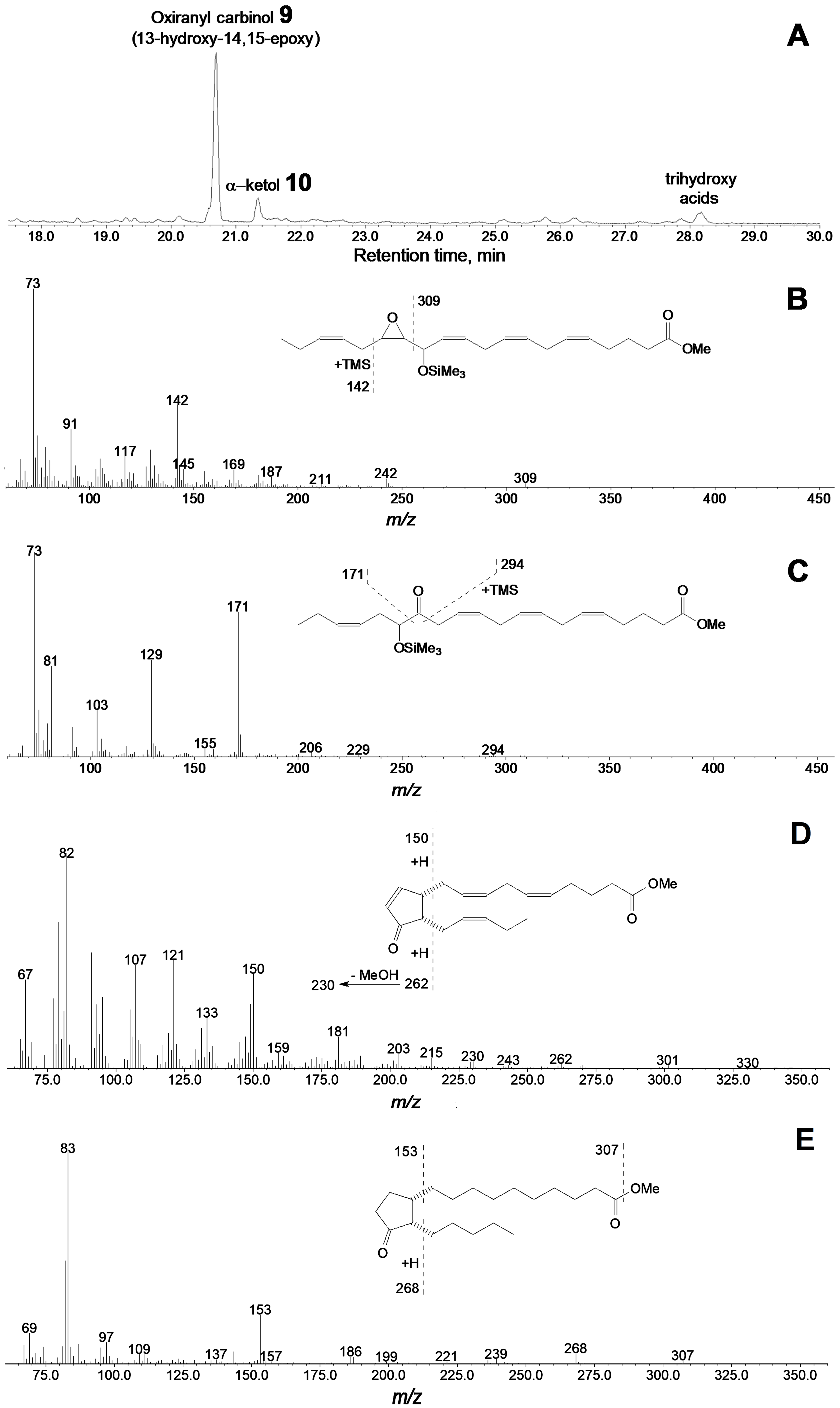 Ijms 22 04737 g006 Ijms 22 04737 g006