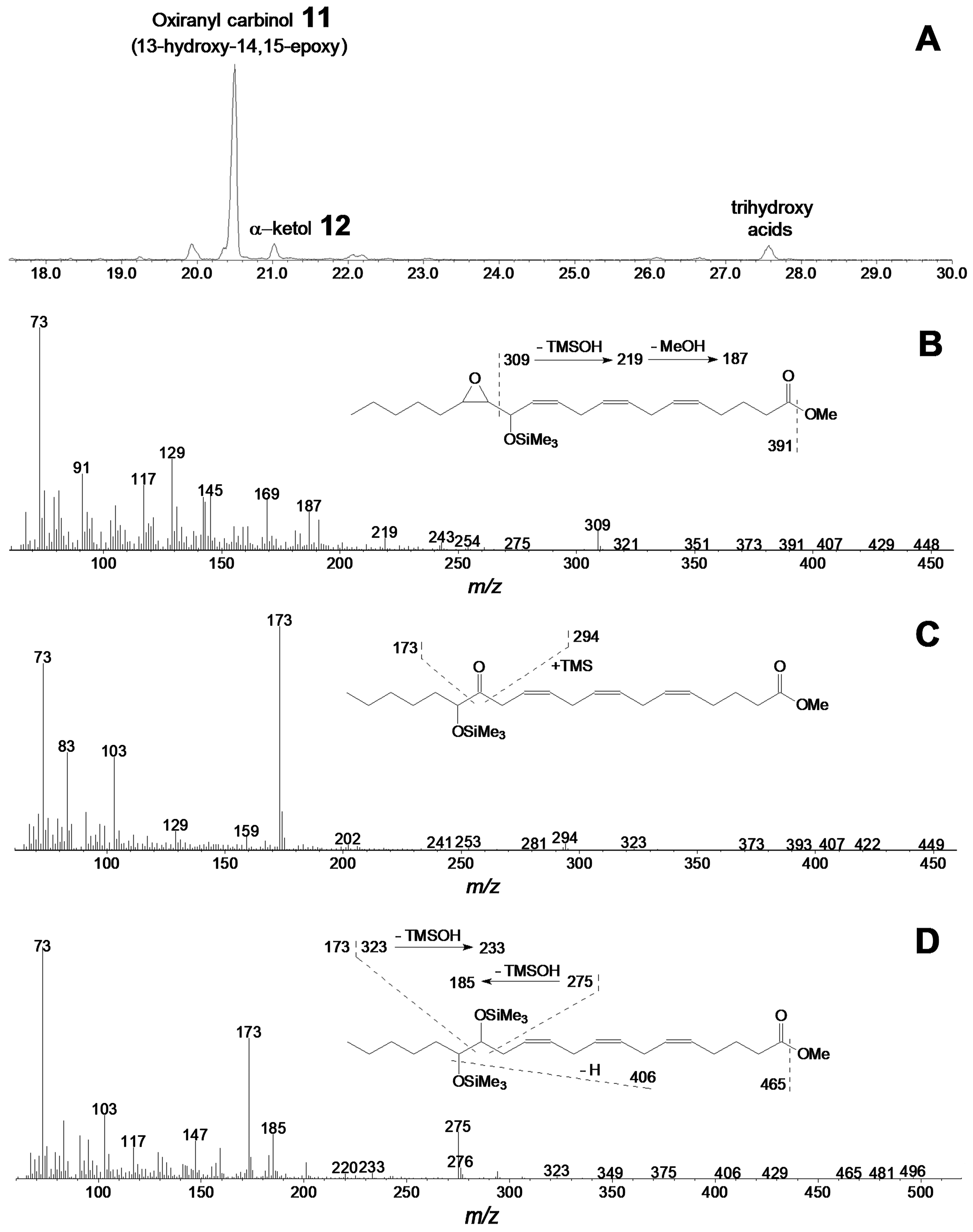 Ijms 22 04737 g007 Ijms 22 04737 g007