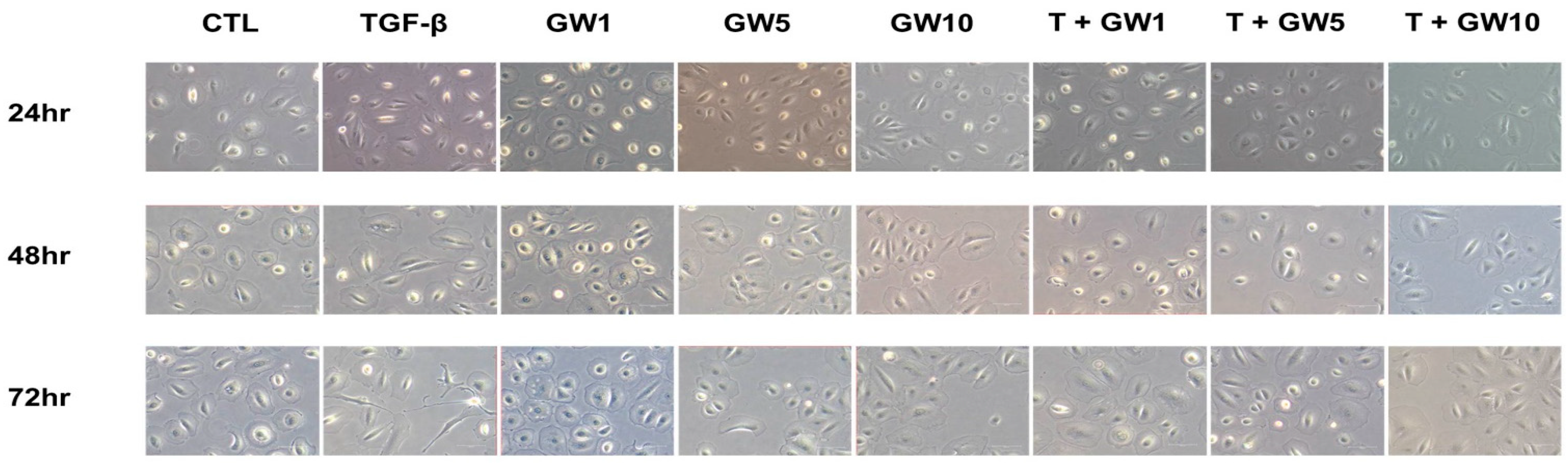 Ijms 22 04739 g001 Ijms 22 04739 g001