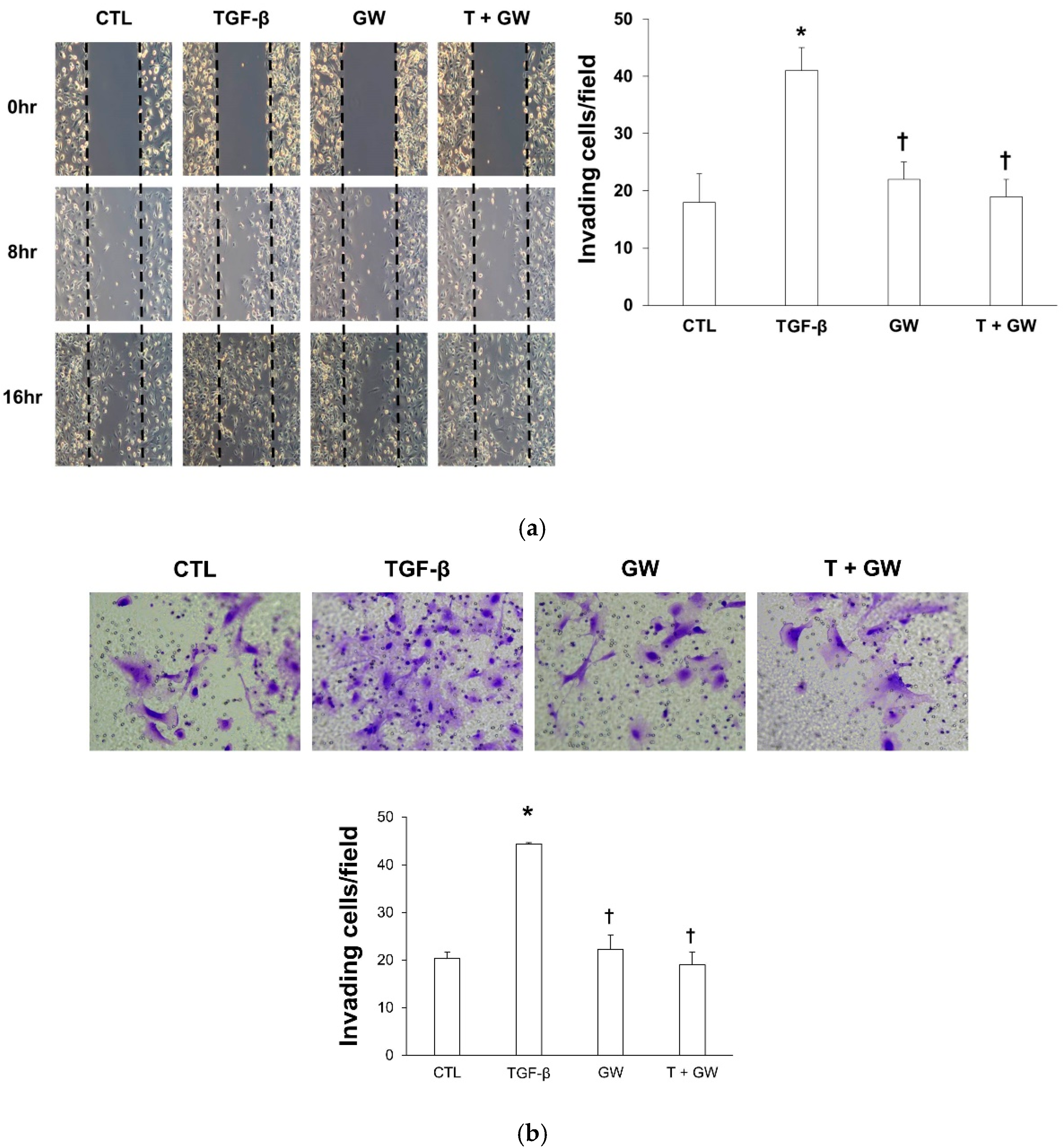 Ijms 22 04739 g002 Ijms 22 04739 g002