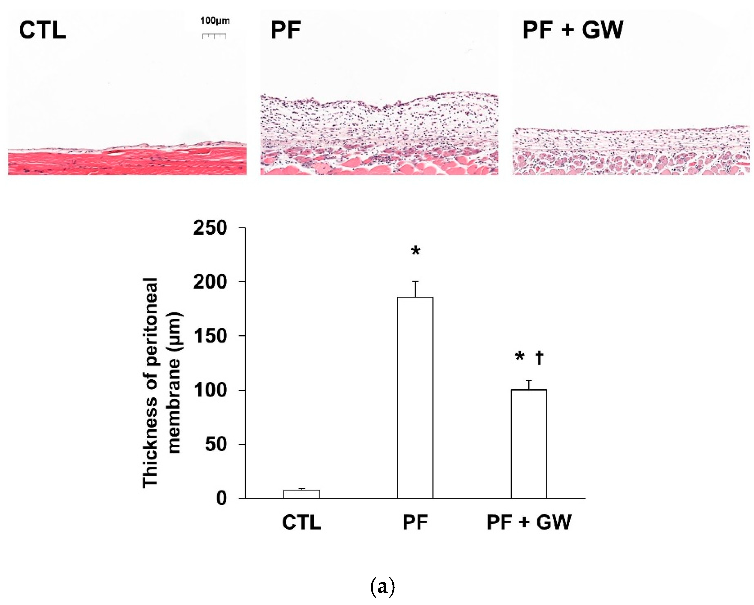 Ijms 22 04739 g004a Ijms 22 04739 g004a