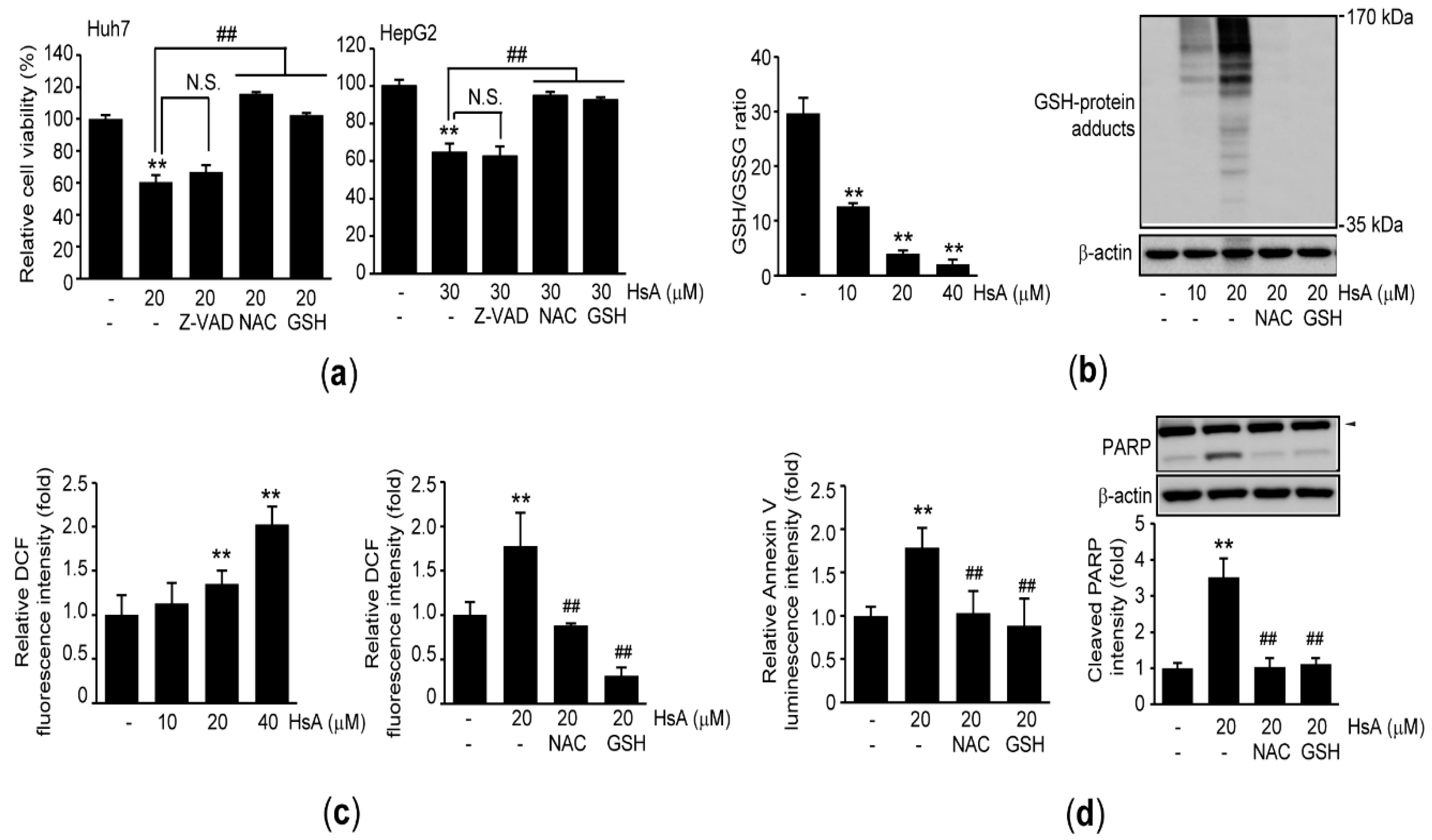 Ijms 22 04743 g003 Ijms 22 04743 g003