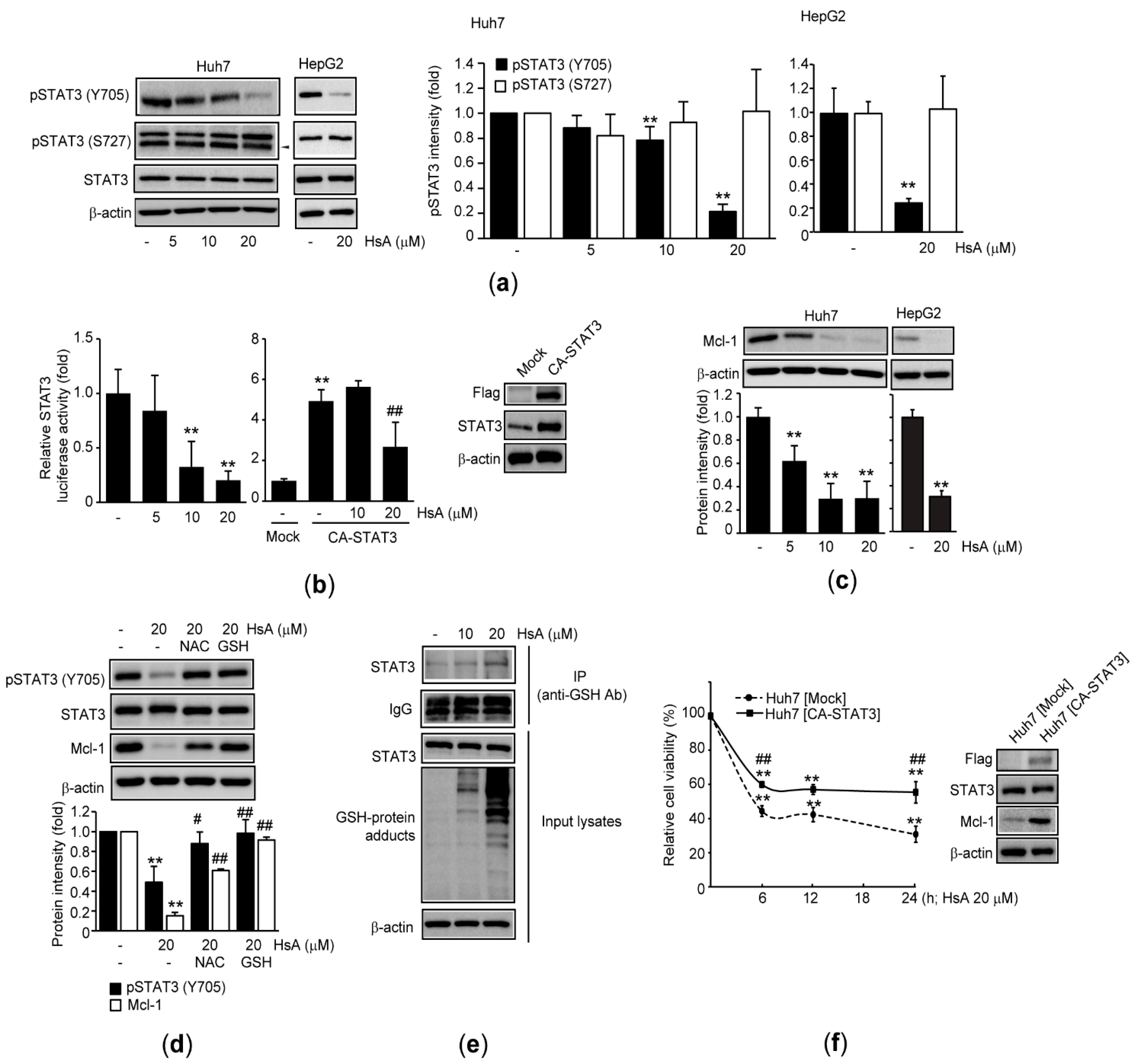 Ijms 22 04743 g004 Ijms 22 04743 g004