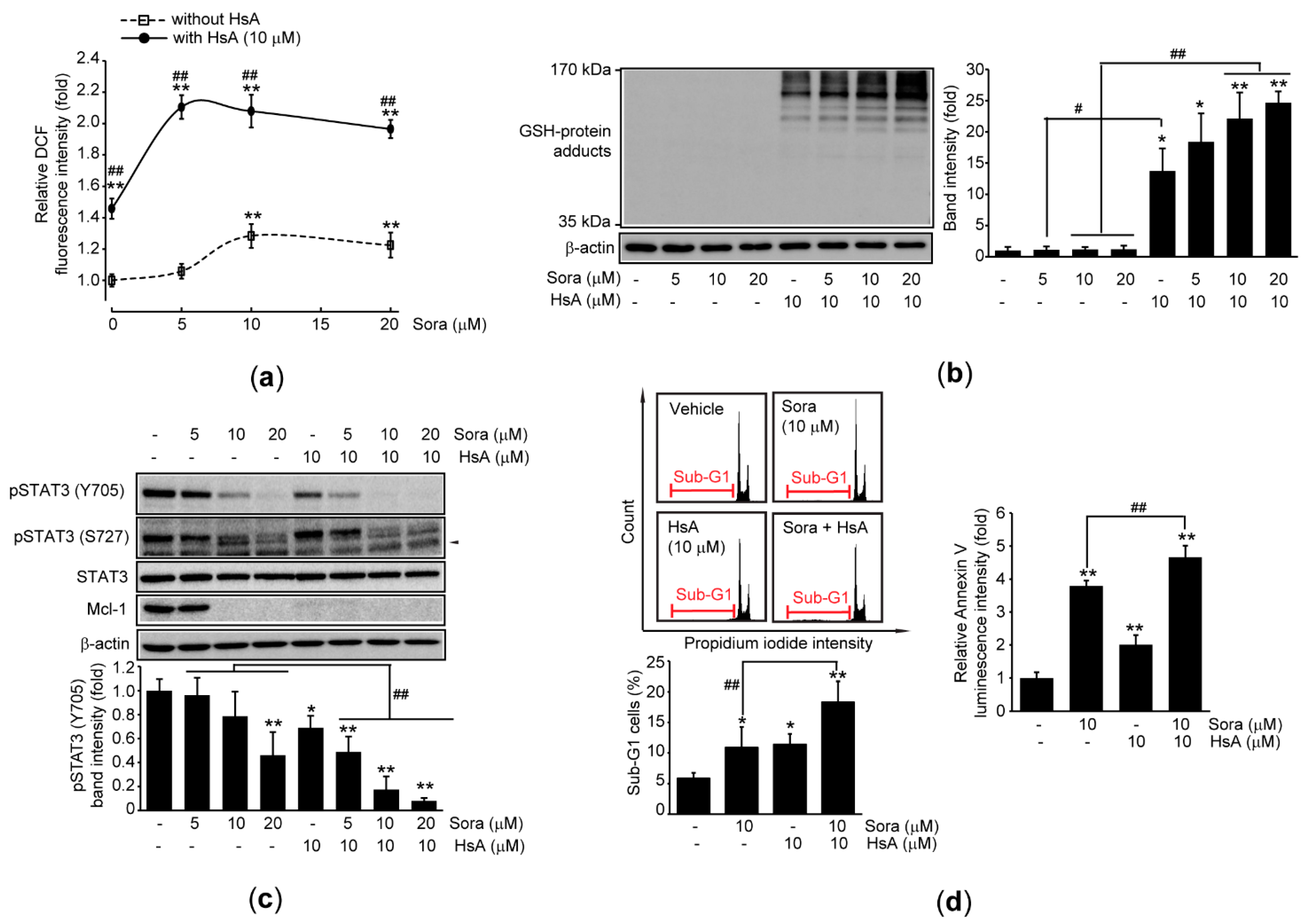 Ijms 22 04743 g005 Ijms 22 04743 g005
