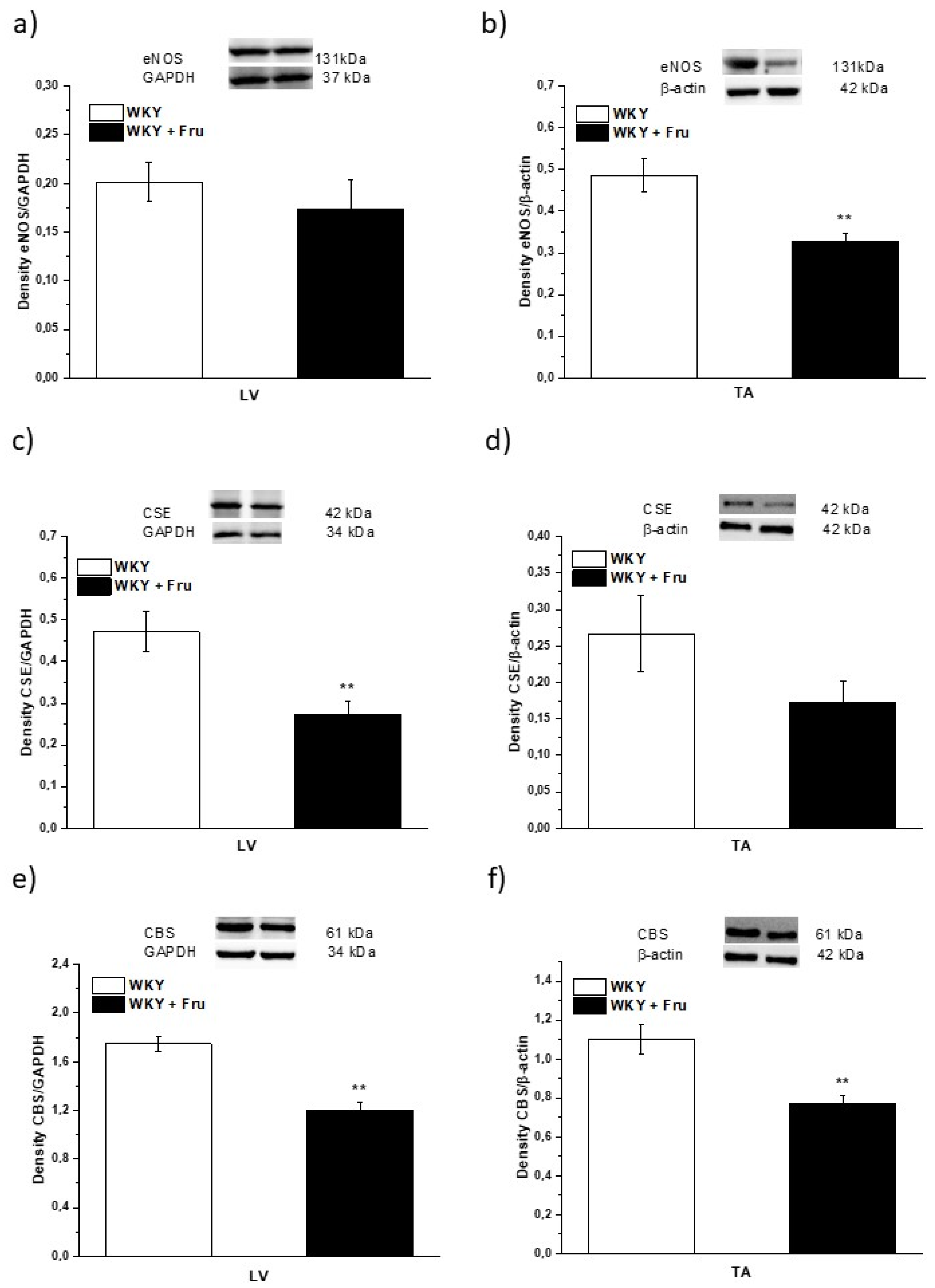 Ijms 22 04749 g010 Ijms 22 04749 g010