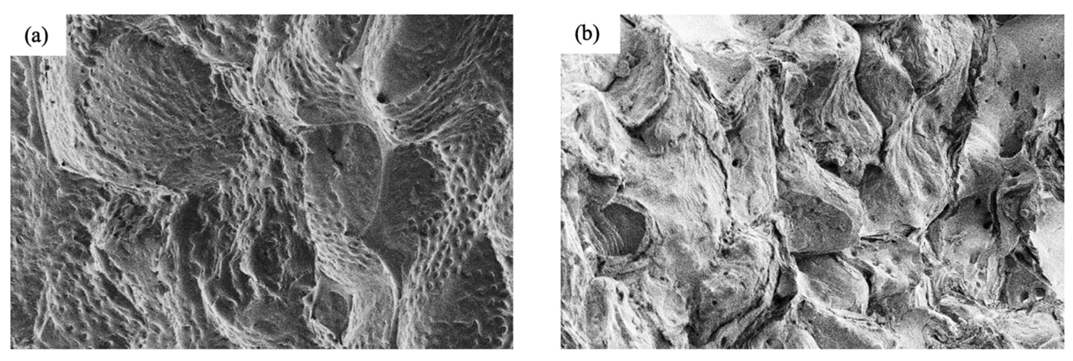 Ijms 22 04757 g002 Ijms 22 04757 g002