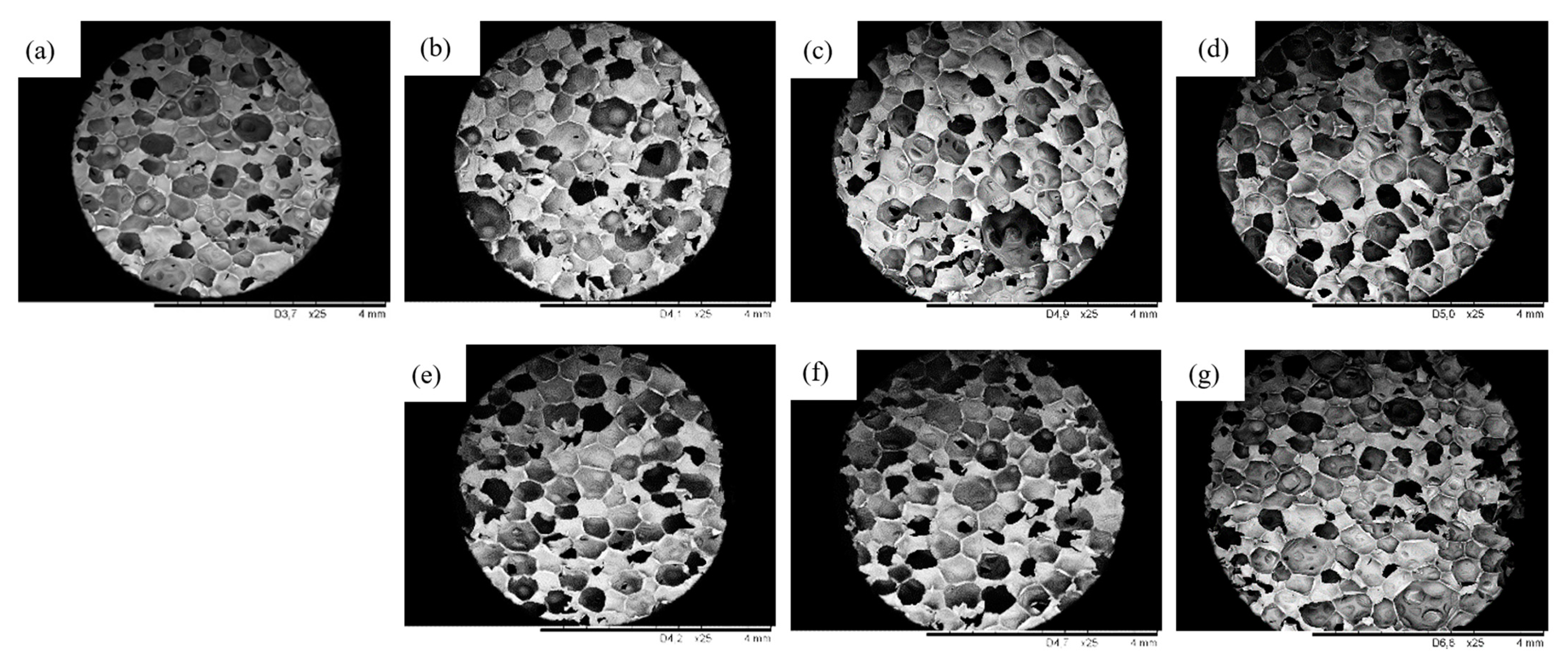 Ijms 22 04757 g005 Ijms 22 04757 g005