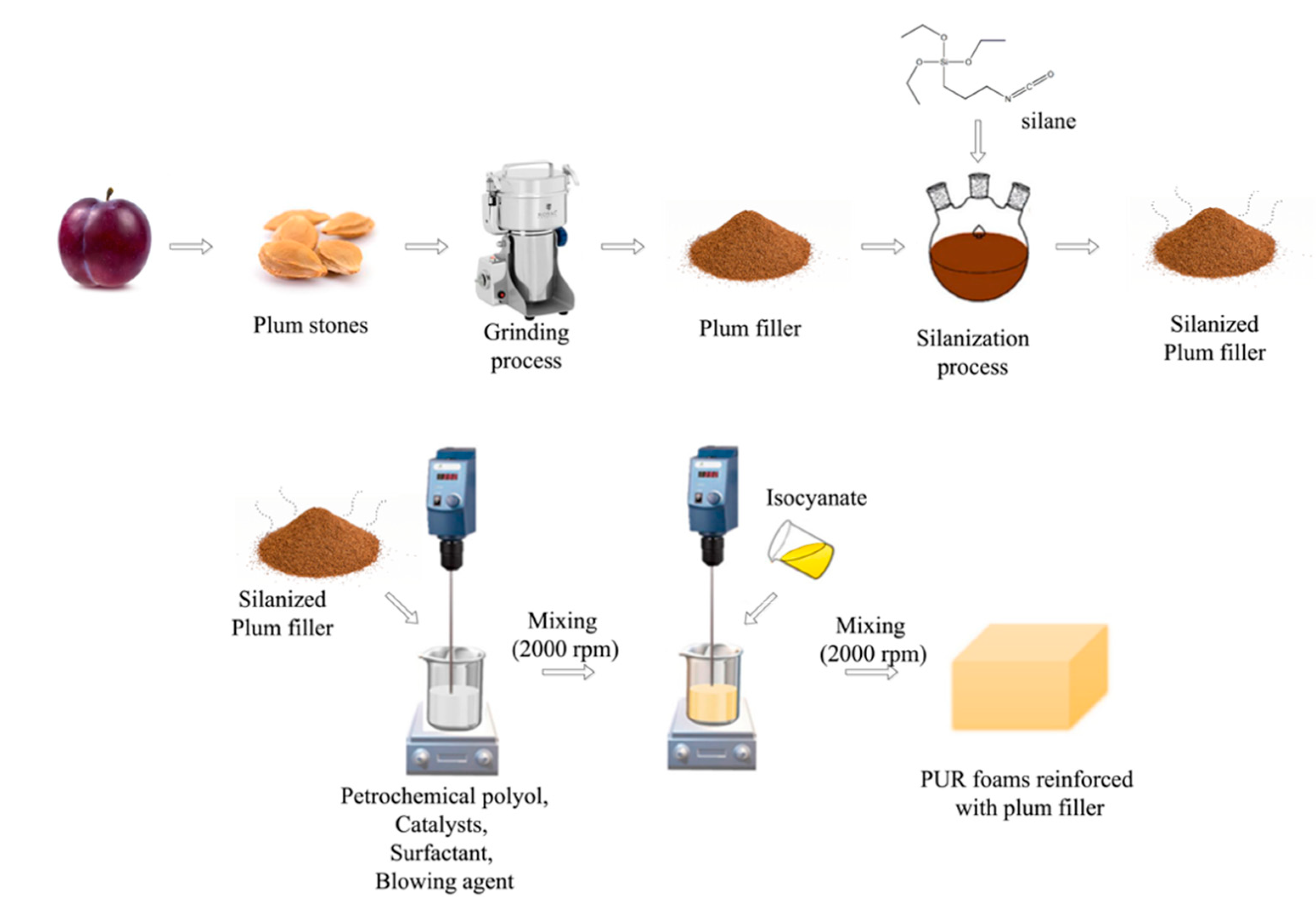 Ijms 22 04757 g013 Ijms 22 04757 g013