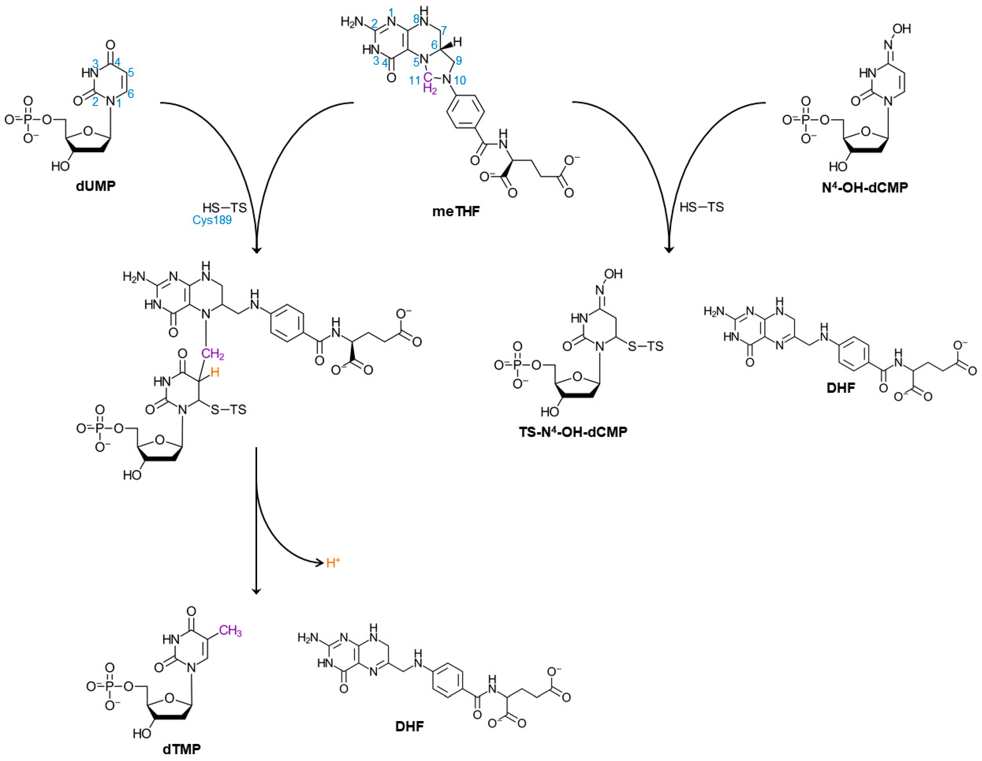 Ijms 22 04758 sch001