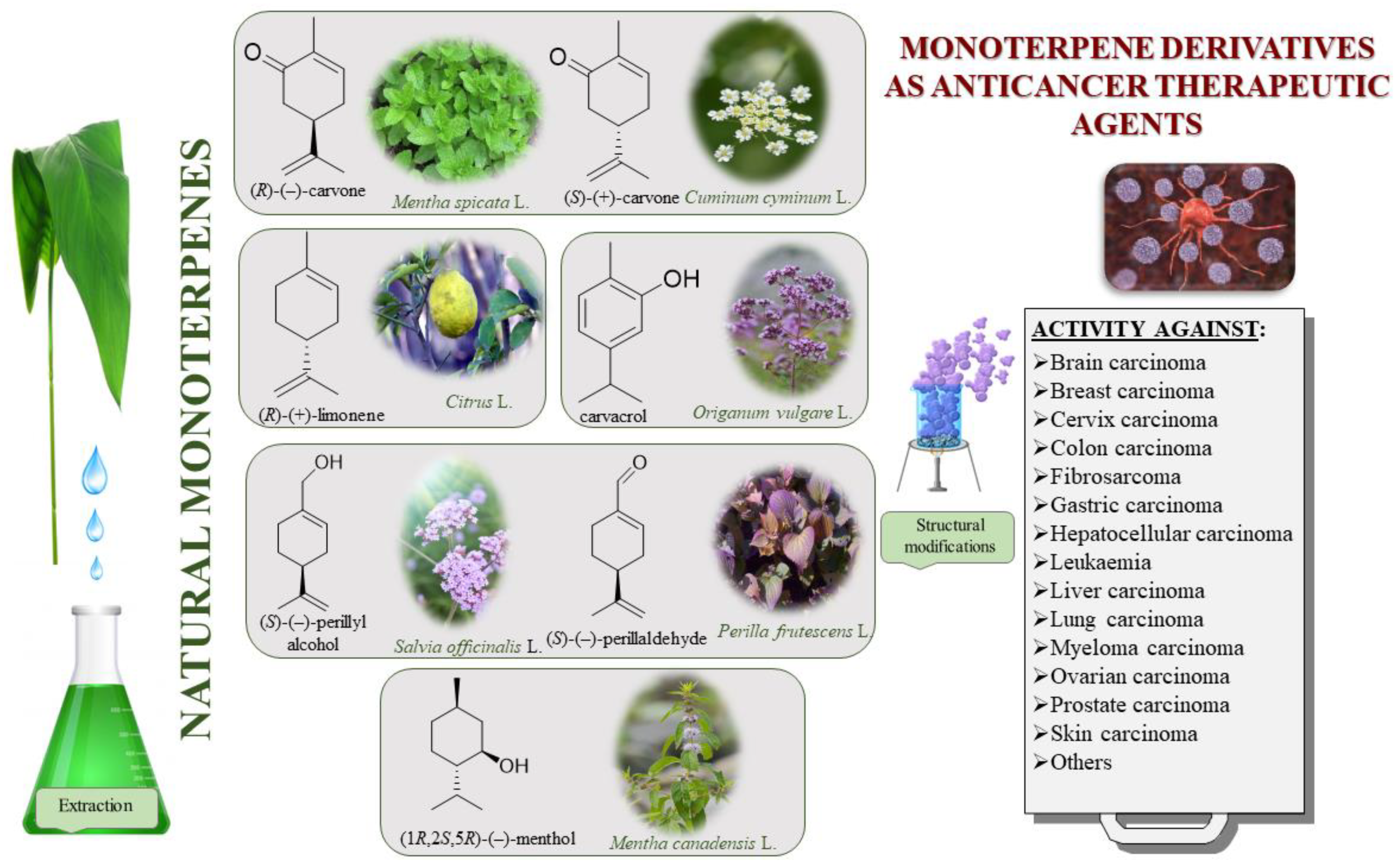 Ijms 22 04763 g001 Ijms 22 04763 g001