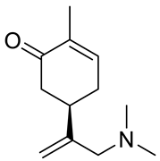 Ijms 22 04763 i023 Ijms 22 04763 i023