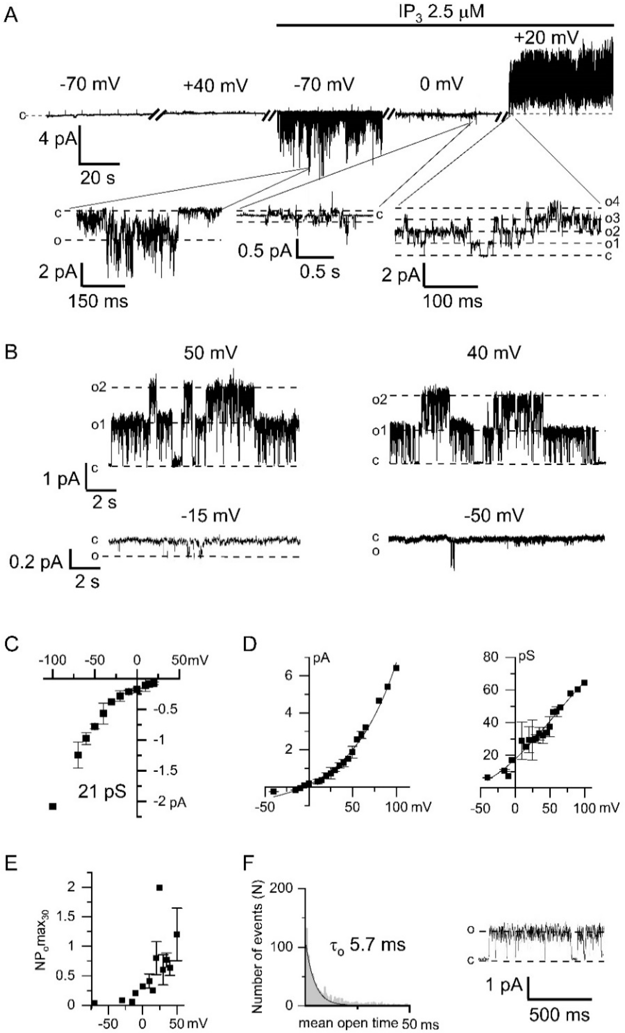 Ijms 22 04767 g001 Ijms 22 04767 g001