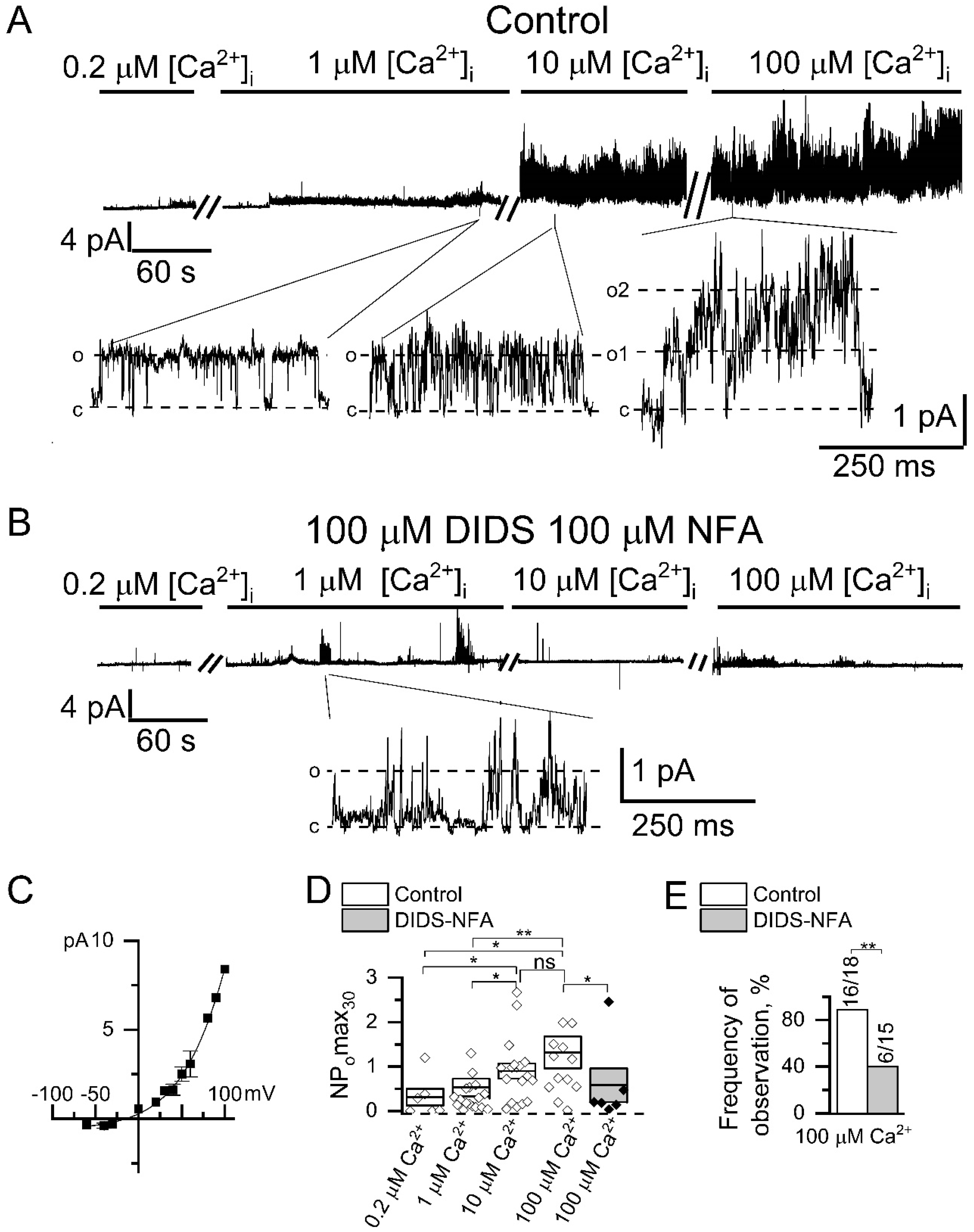 Ijms 22 04767 g003 Ijms 22 04767 g003