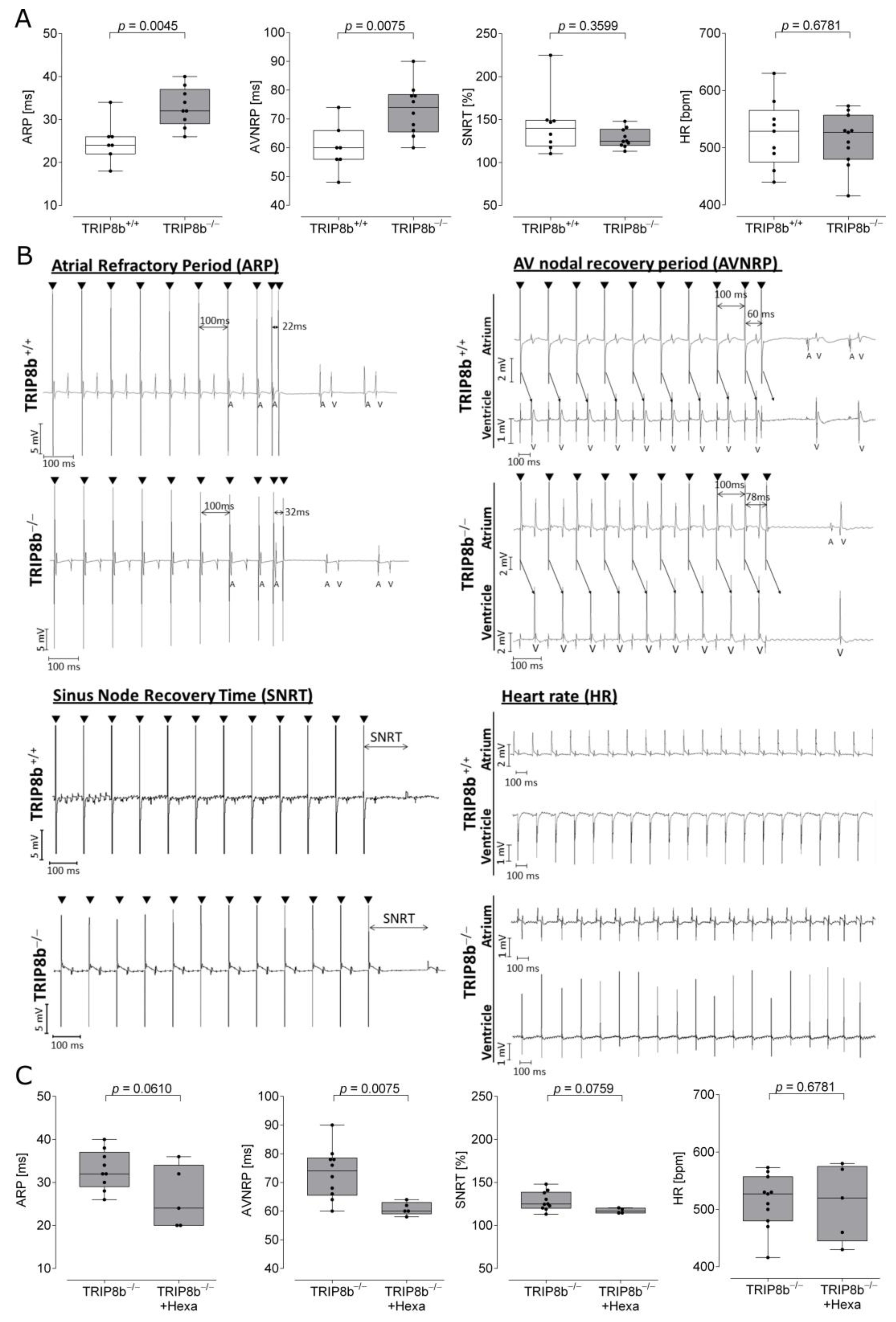 Ijms 22 04772 g001 Ijms 22 04772 g001