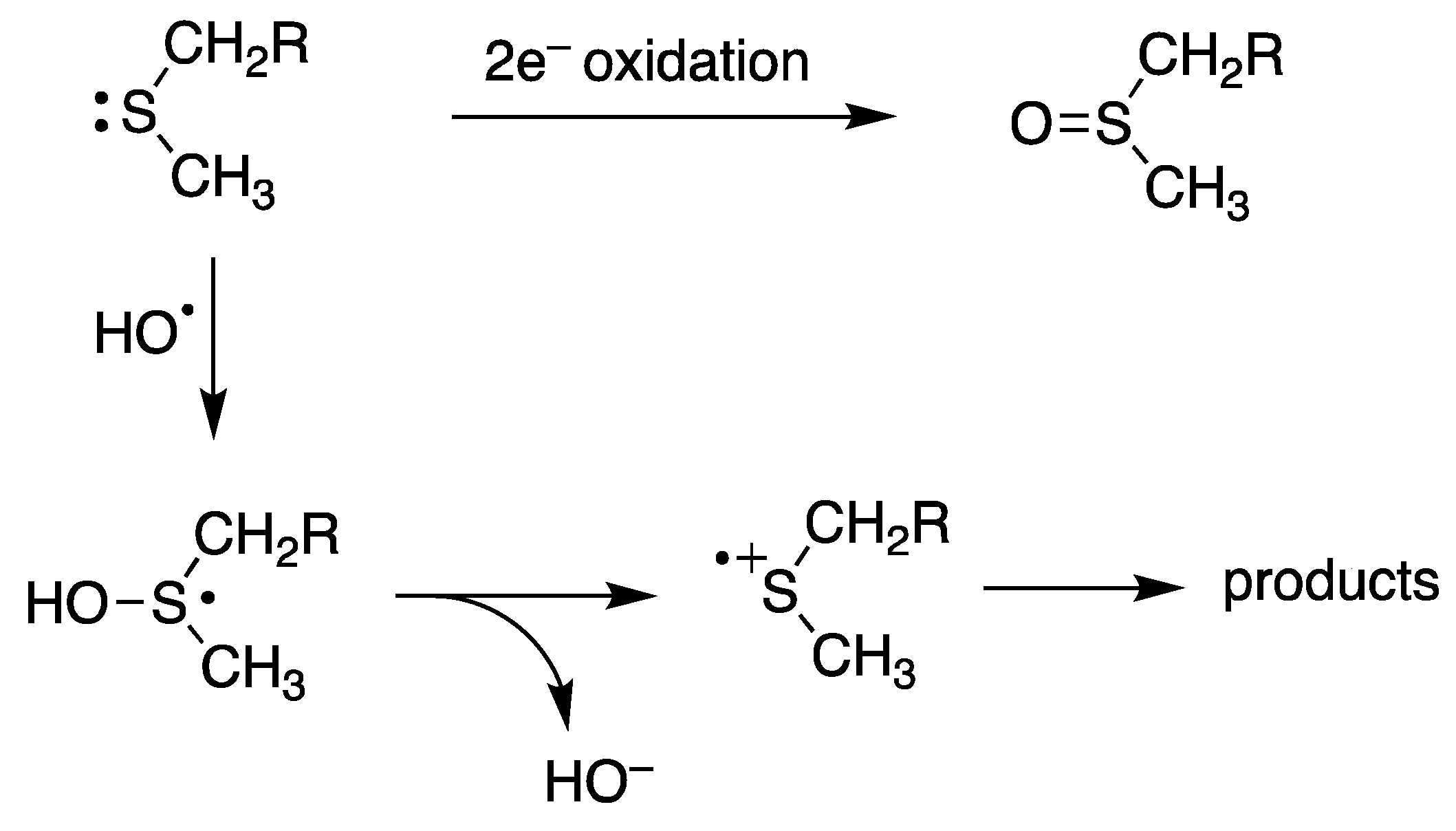 Ijms 22 04773 sch001