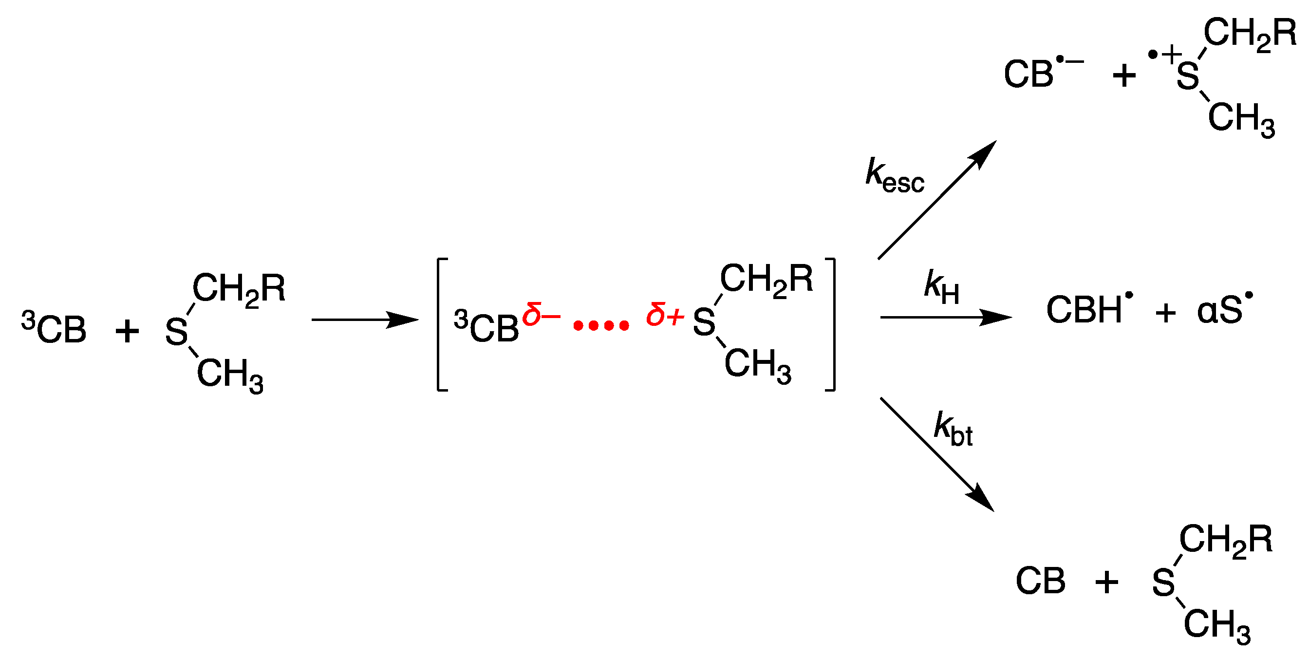 Ijms 22 04773 sch002