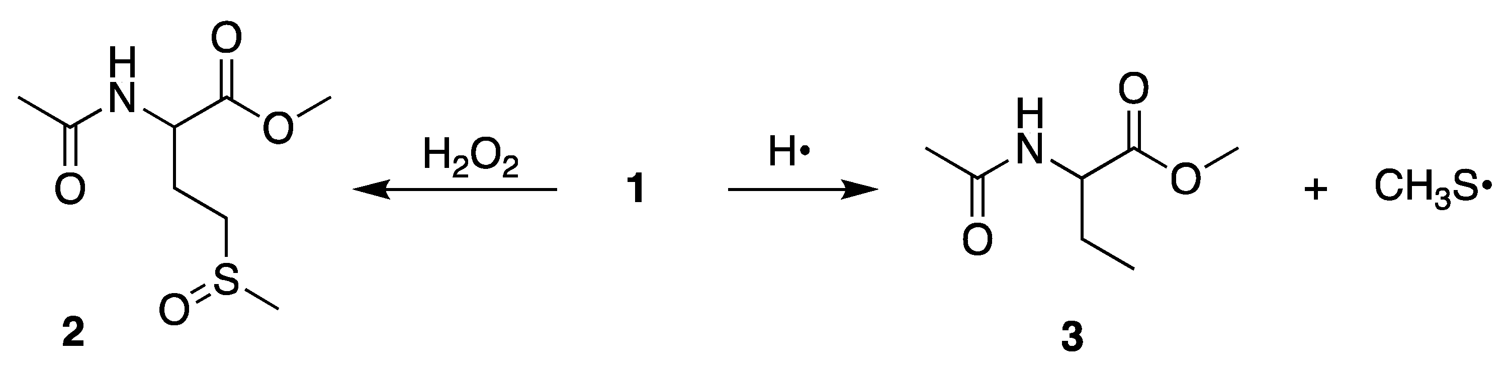 Ijms 22 04773 sch004