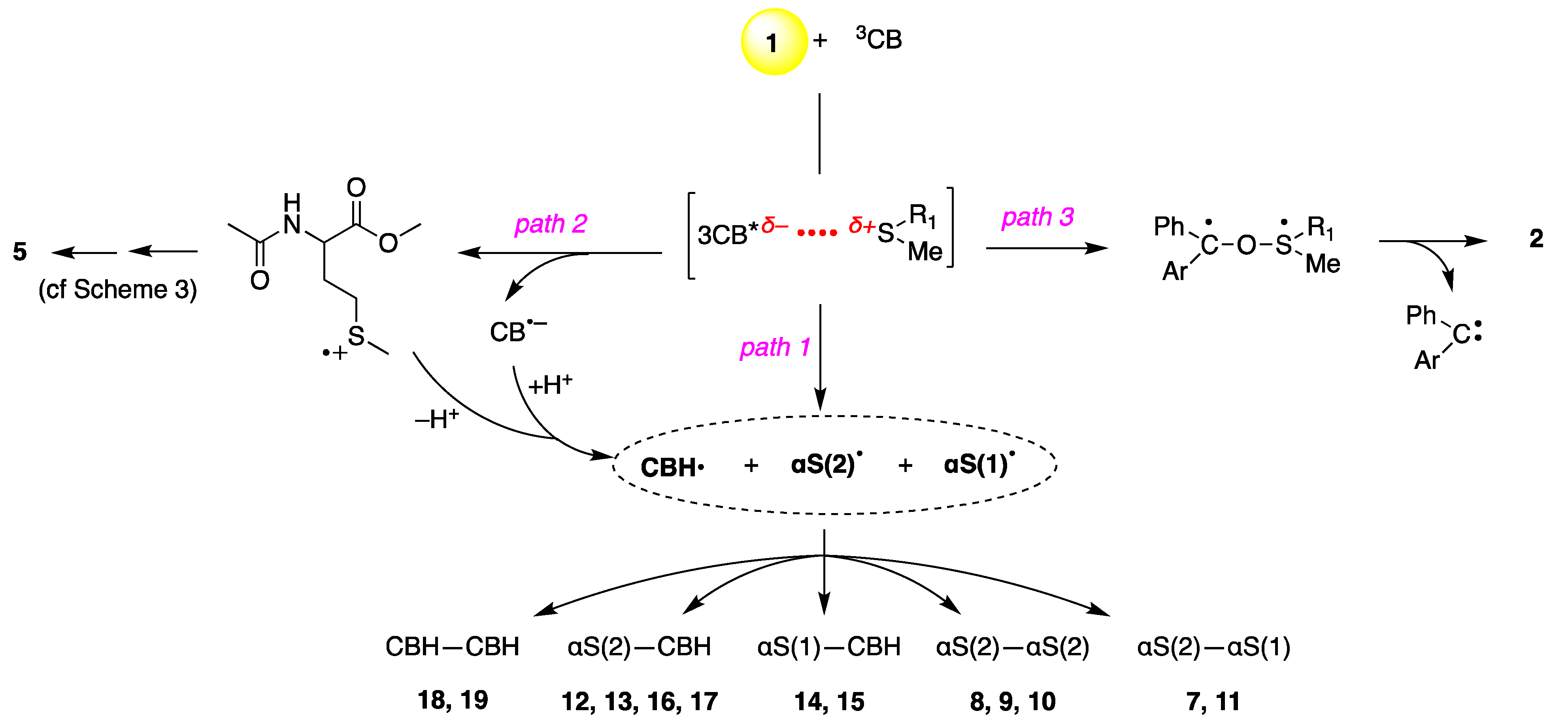 Ijms 22 04773 sch005