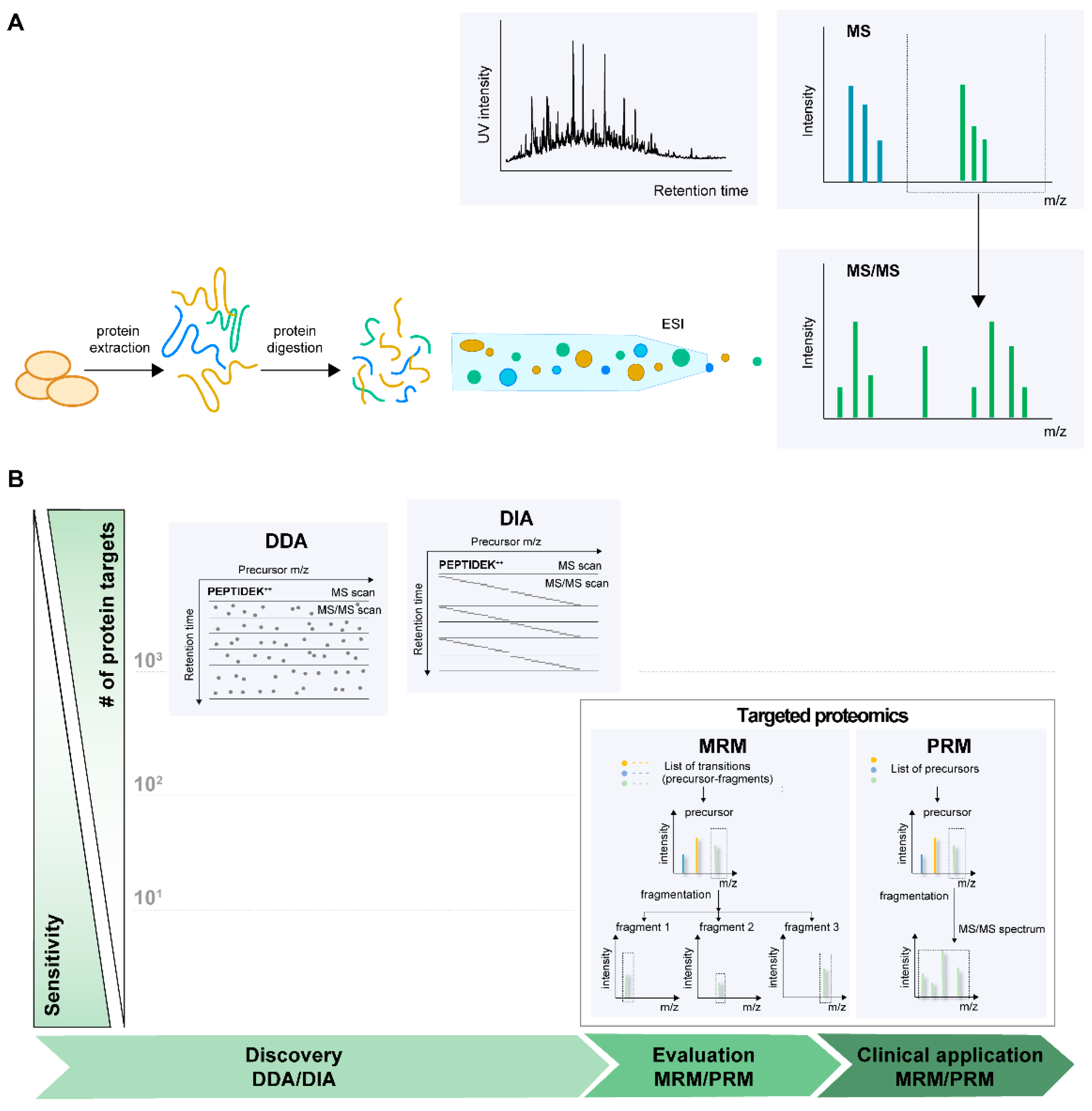 Ijms 22 04776 g005 Ijms 22 04776 g005