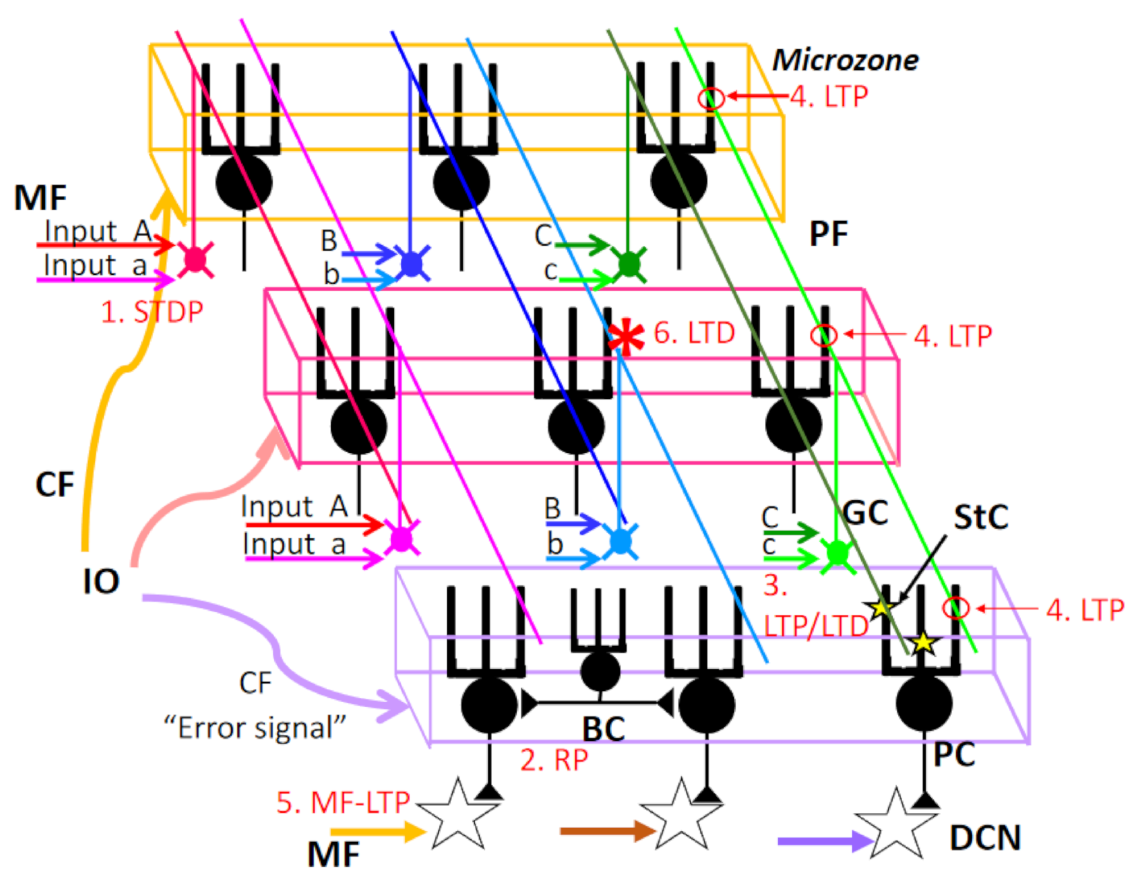 Ijms 22 04777 g003 Ijms 22 04777 g003