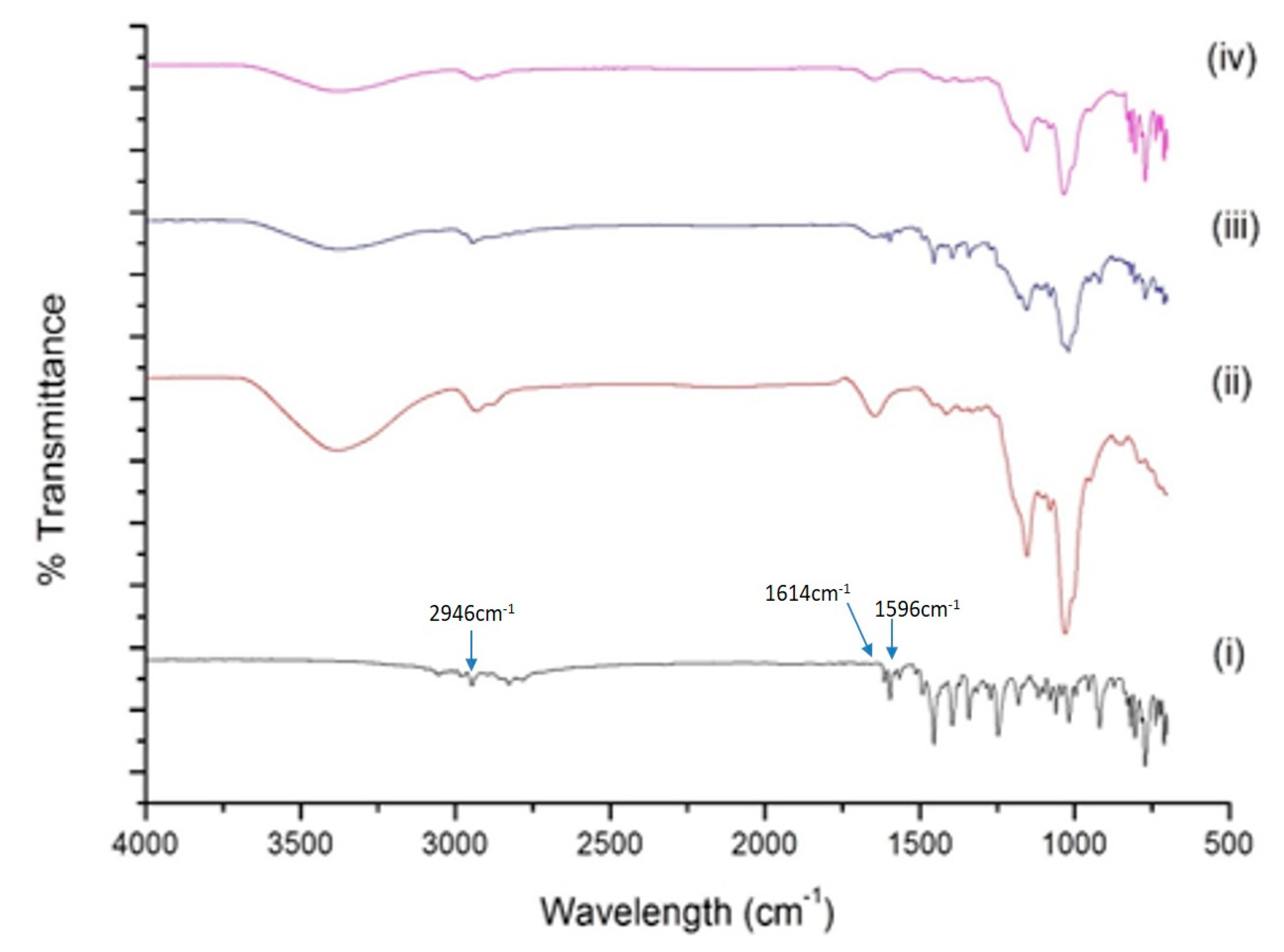 Ijms 22 04783 g003 Ijms 22 04783 g003