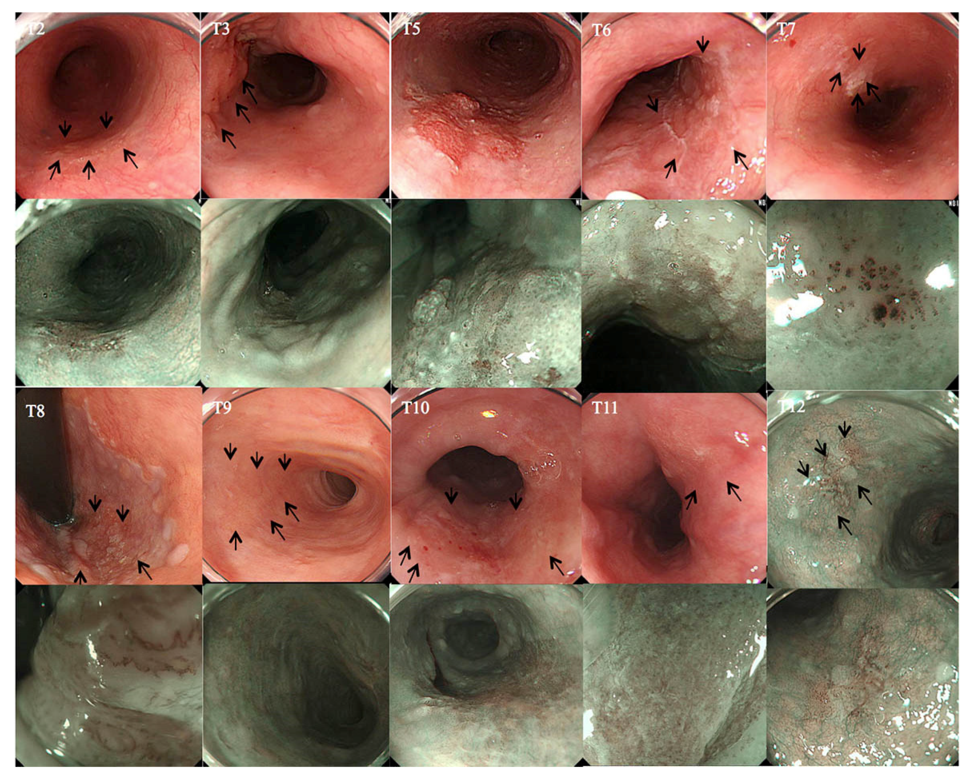 Ijms 22 04789 g001 Ijms 22 04789 g001