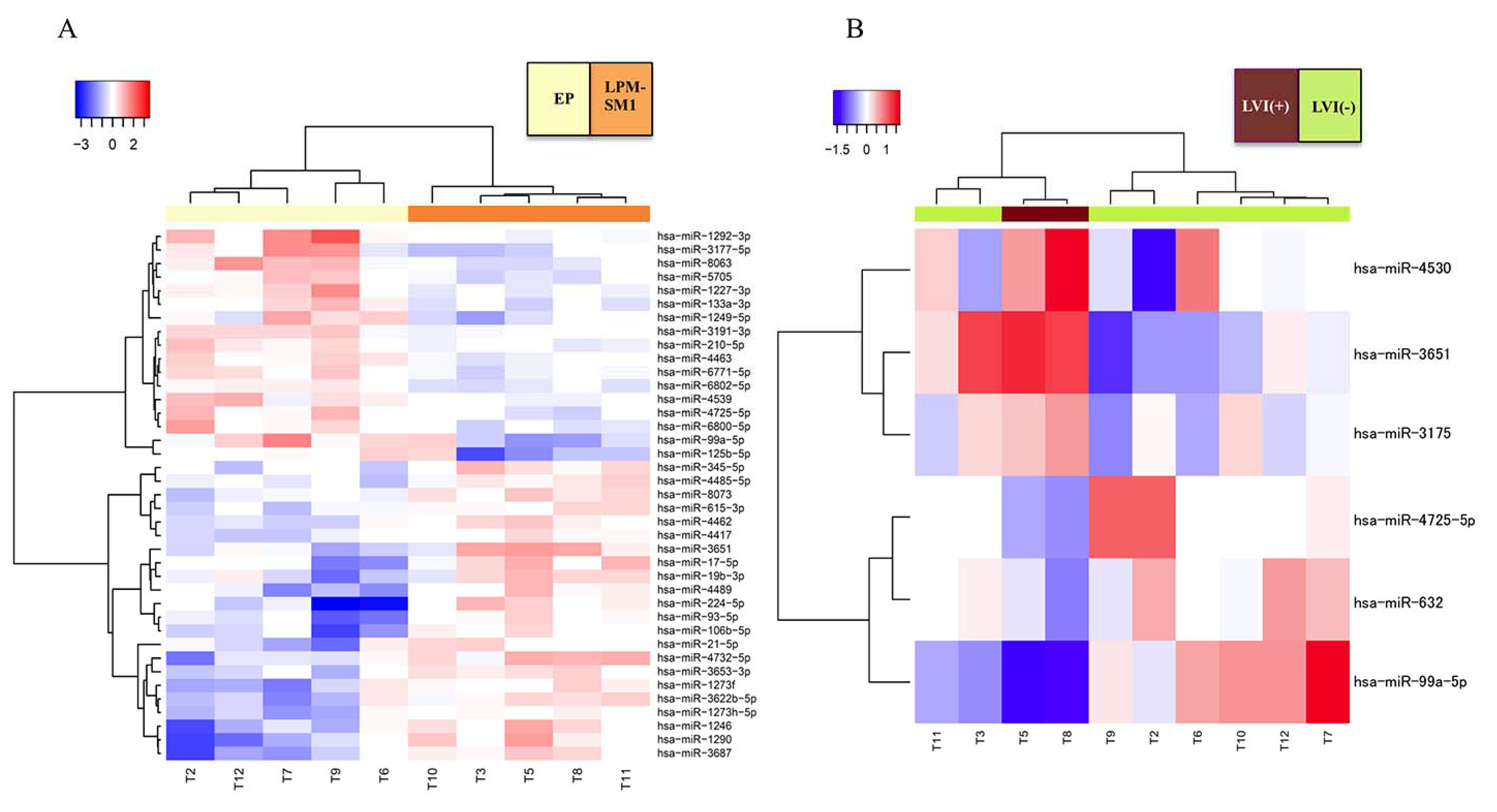 Ijms 22 04789 g003 Ijms 22 04789 g003