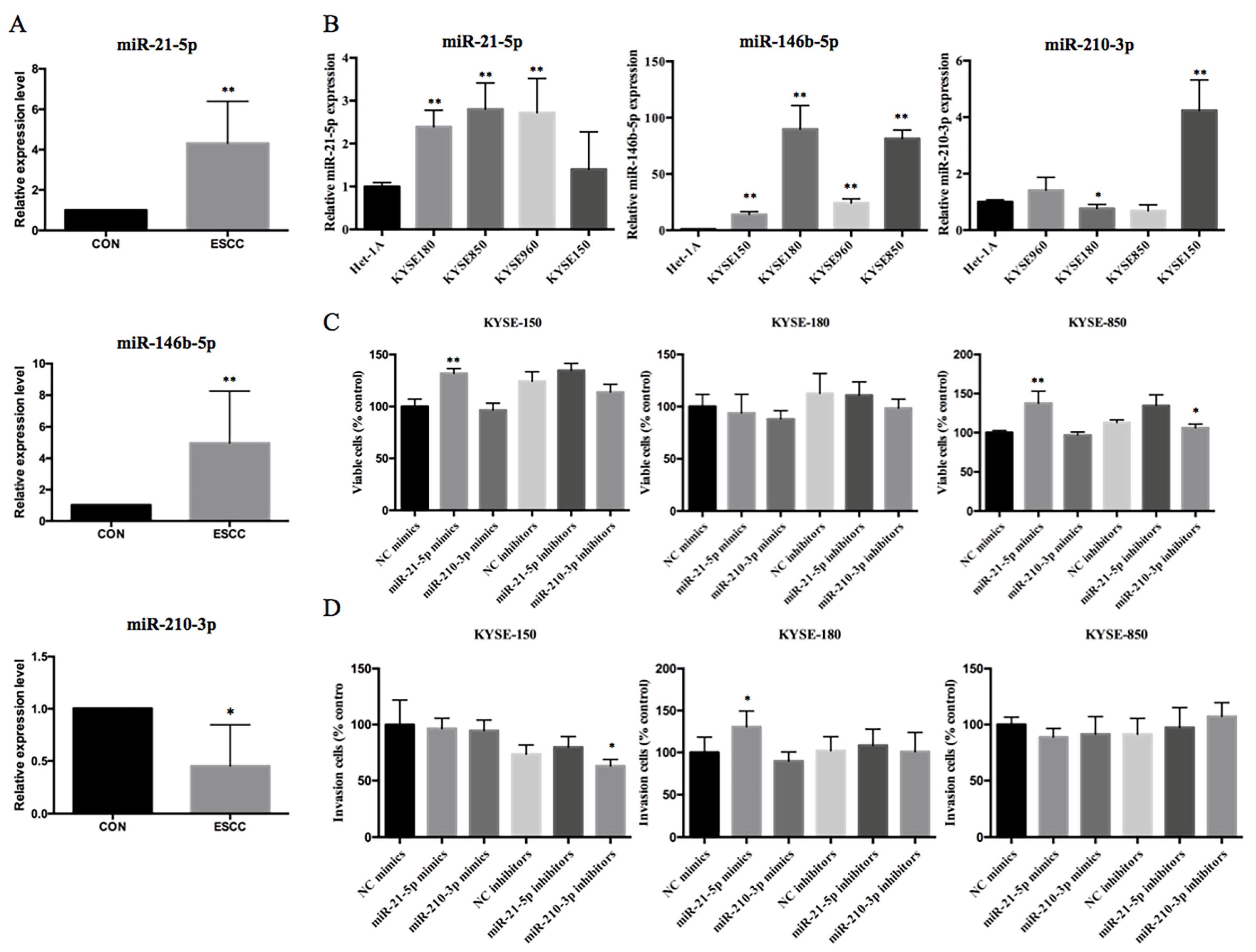 Ijms 22 04789 g004 Ijms 22 04789 g004
