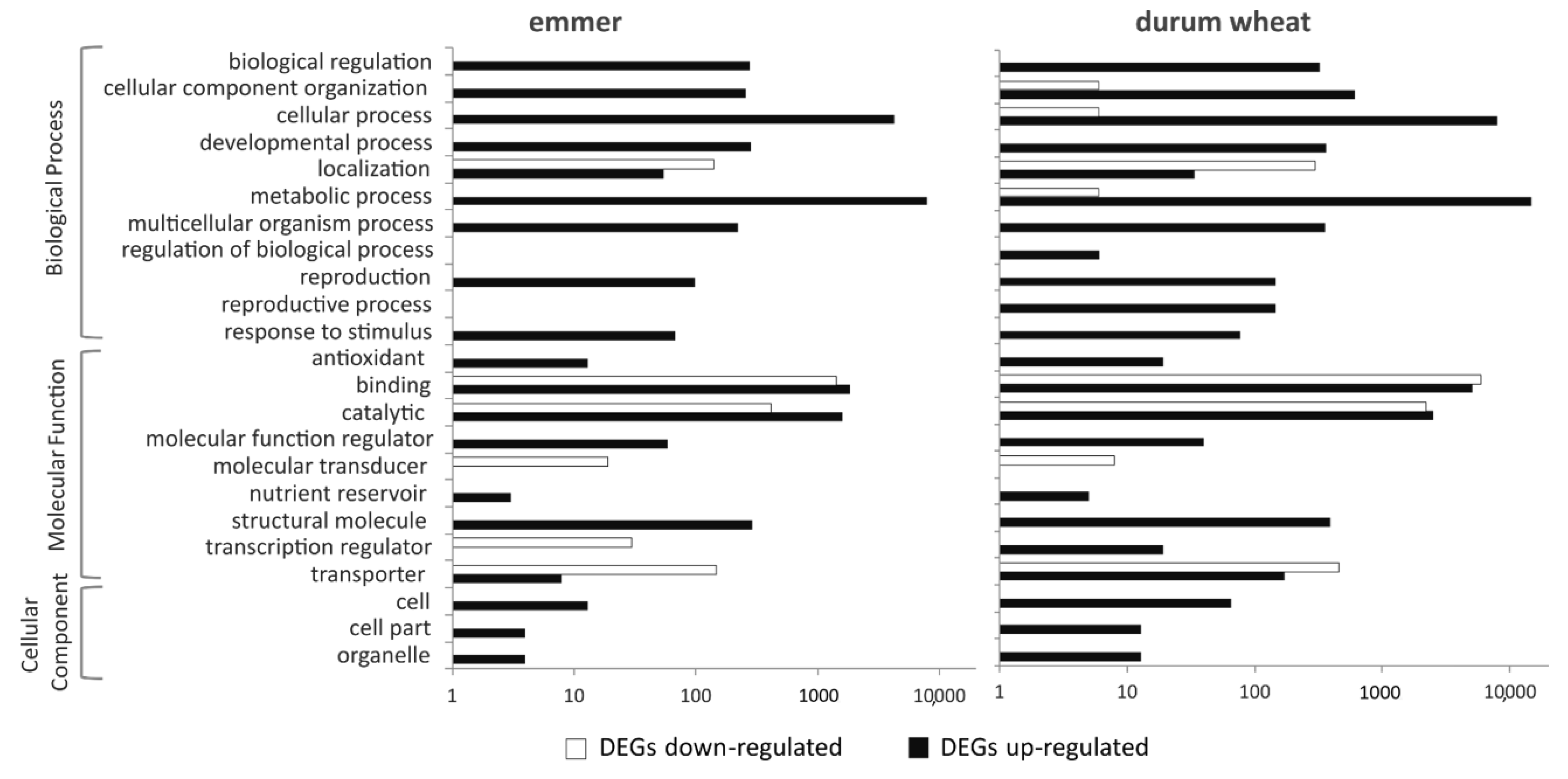 Ijms 22 04790 g002 Ijms 22 04790 g002