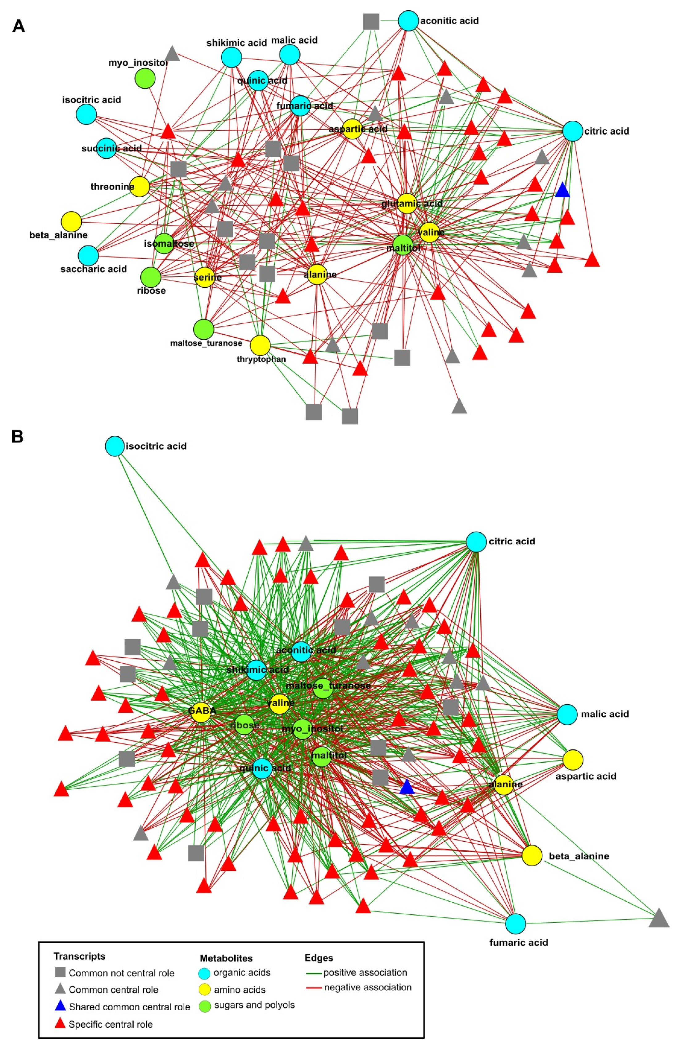 Ijms 22 04790 g004 Ijms 22 04790 g004