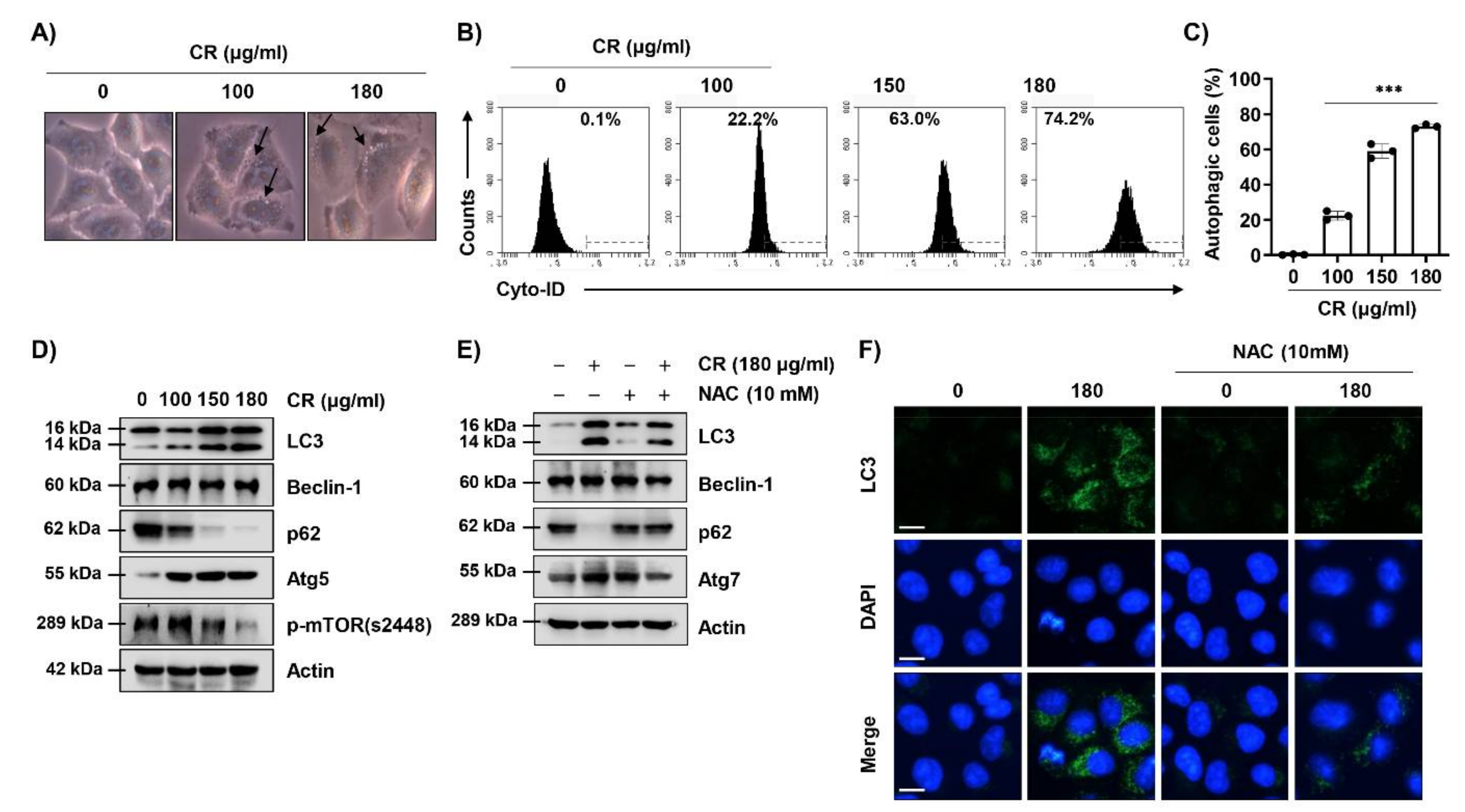 Ijms 22 04797 g003 Ijms 22 04797 g003