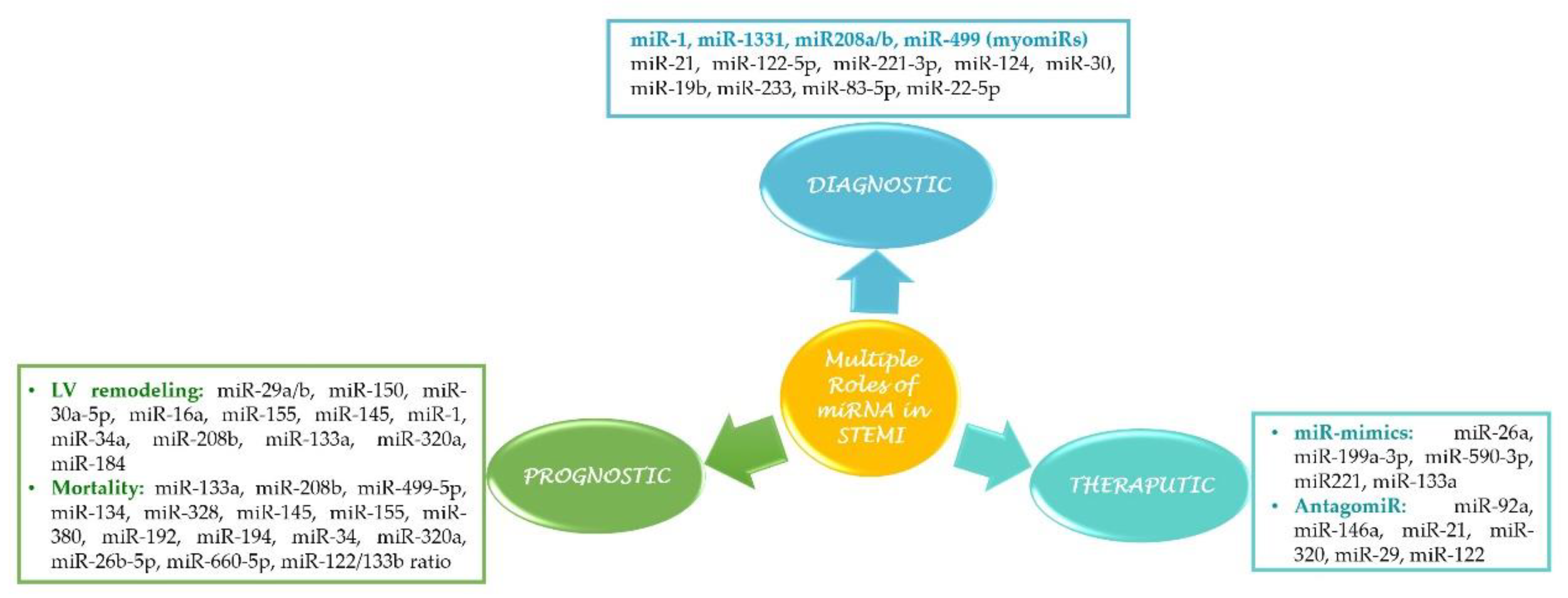 Ijms 22 04799 g002 Ijms 22 04799 g002