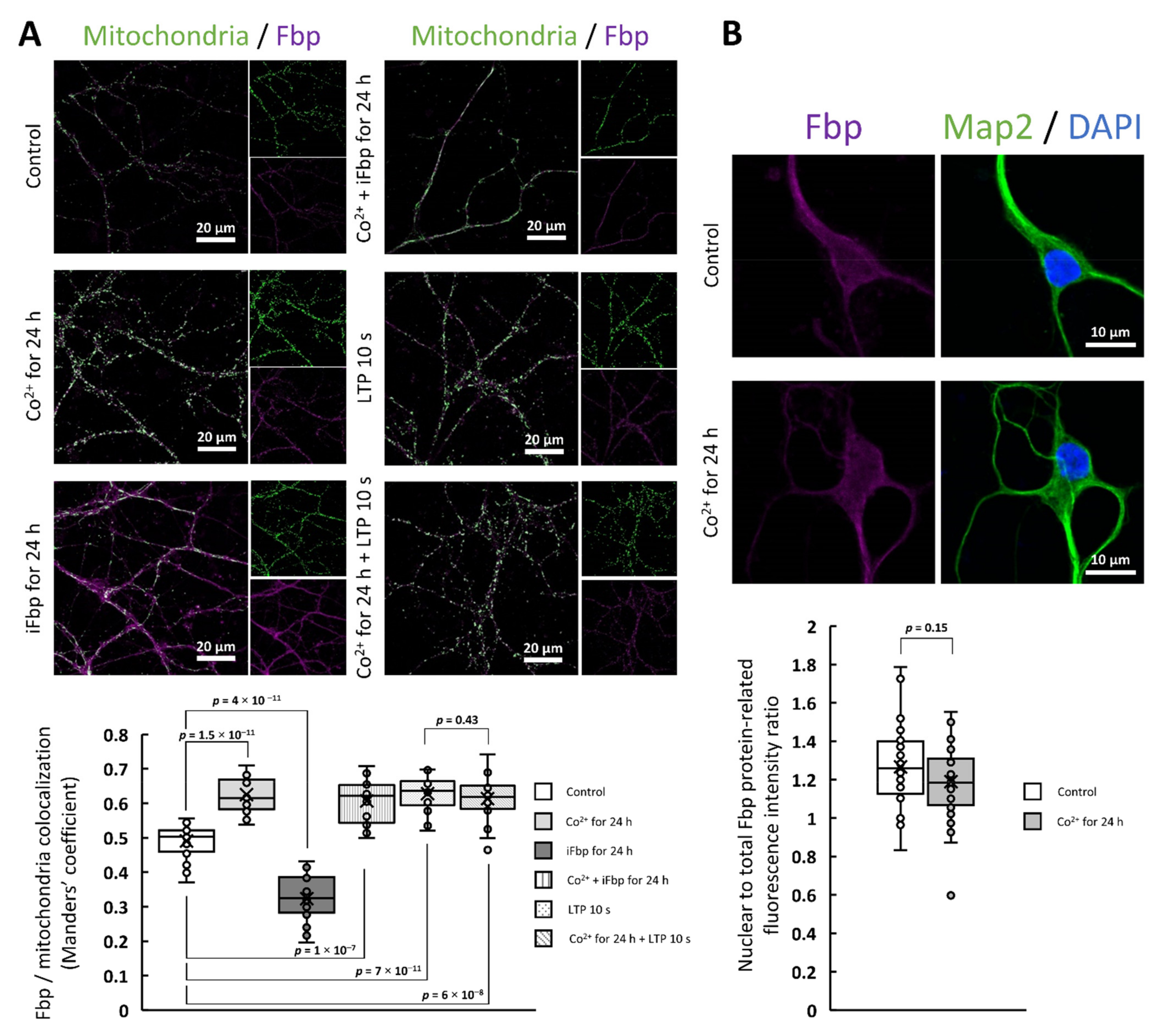 Ijms 22 04800 g001 Ijms 22 04800 g001