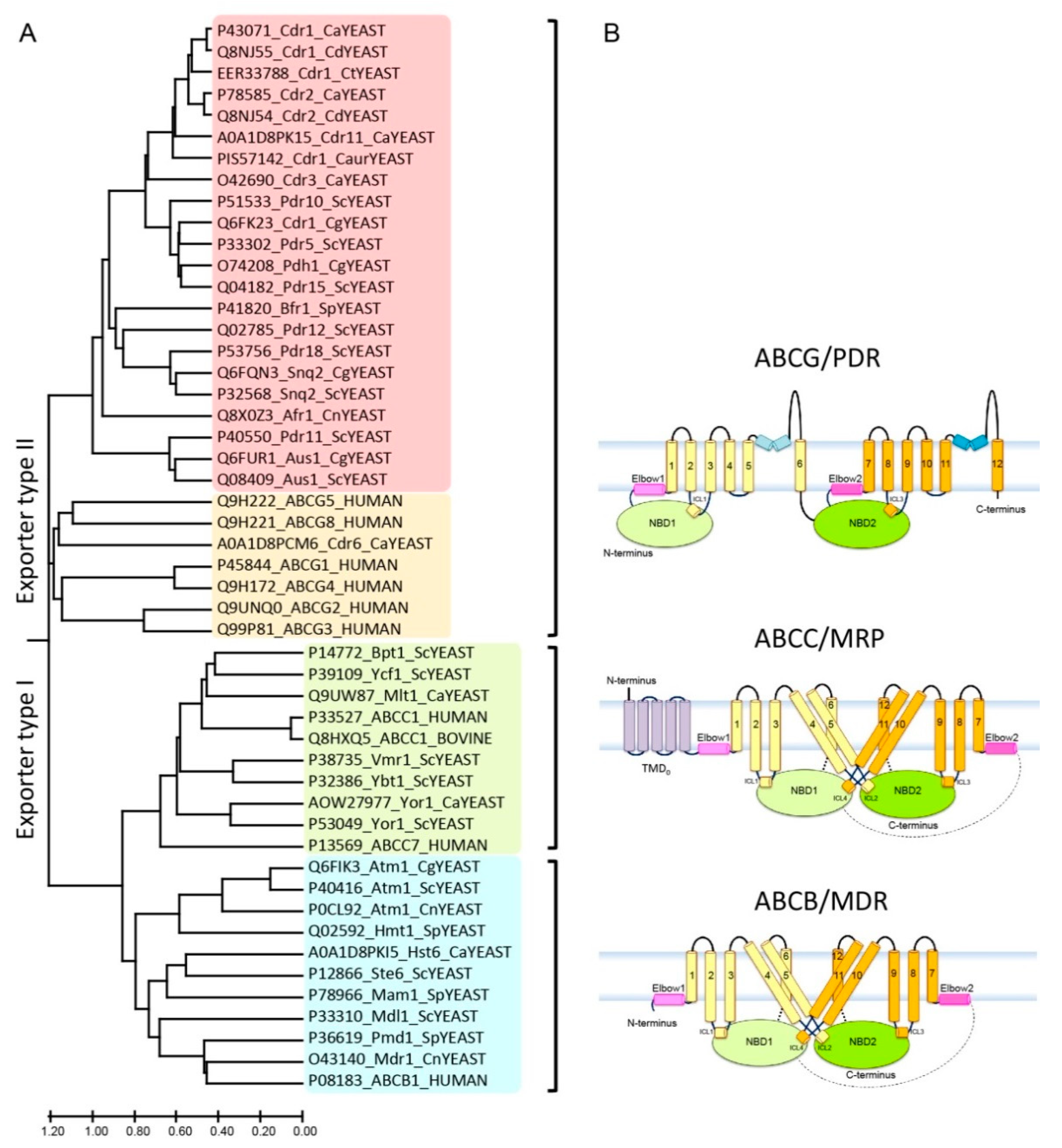 Ijms 22 04806 g001 Ijms 22 04806 g001