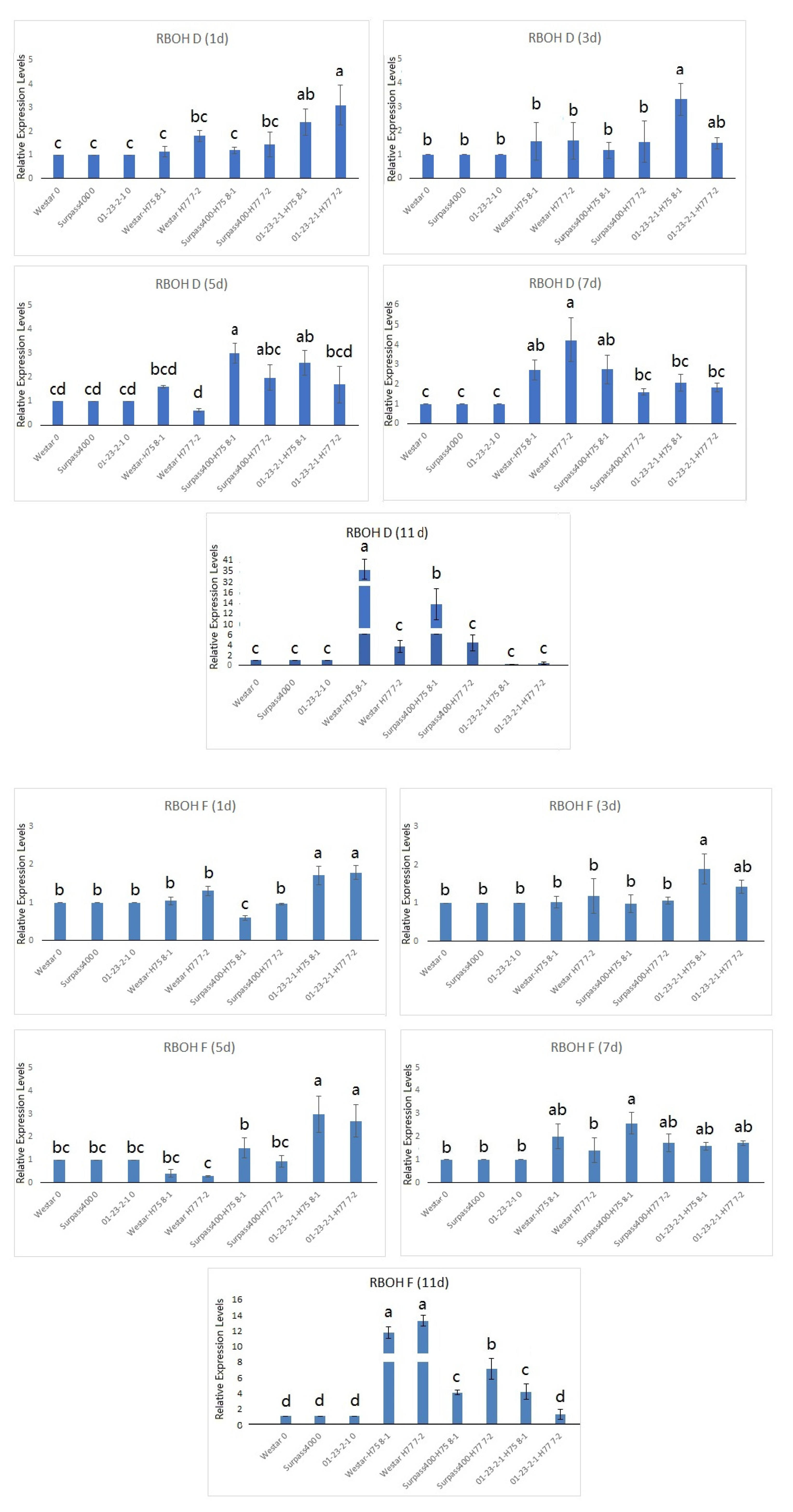 Ijms 22 04812 g004a Ijms 22 04812 g004a