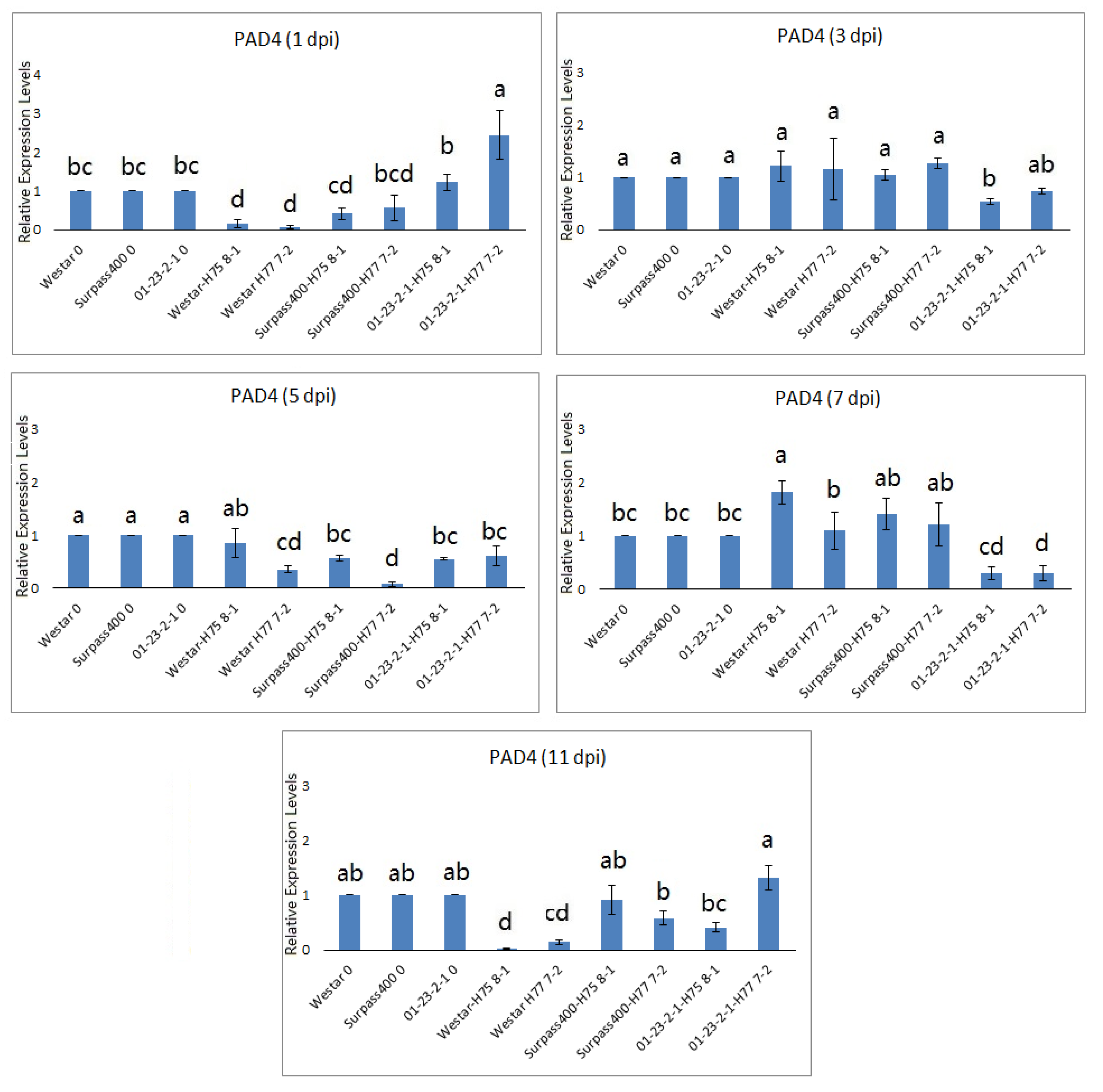 Ijms 22 04812 g005a Ijms 22 04812 g005a