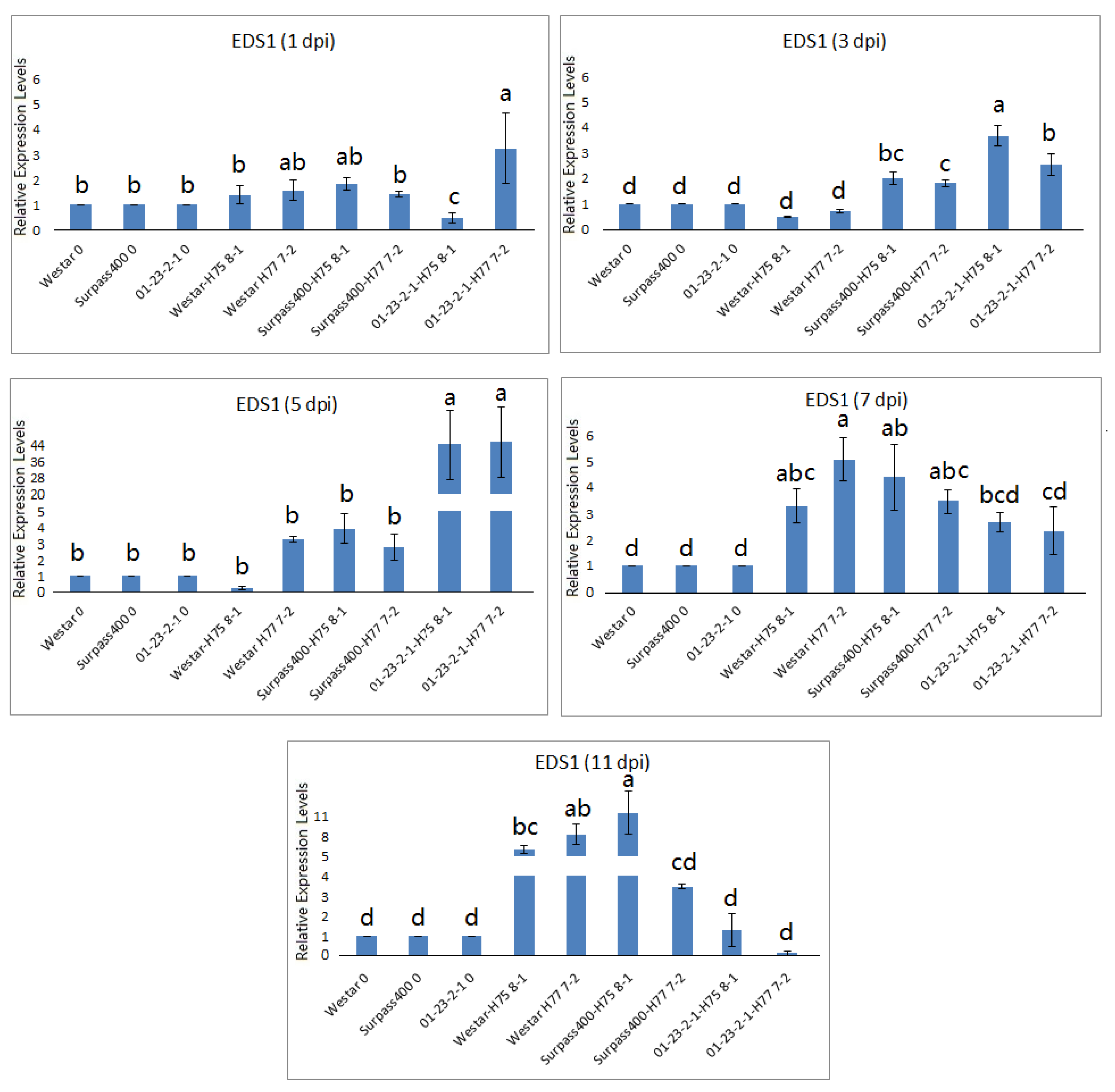 Ijms 22 04812 g005b Ijms 22 04812 g005b